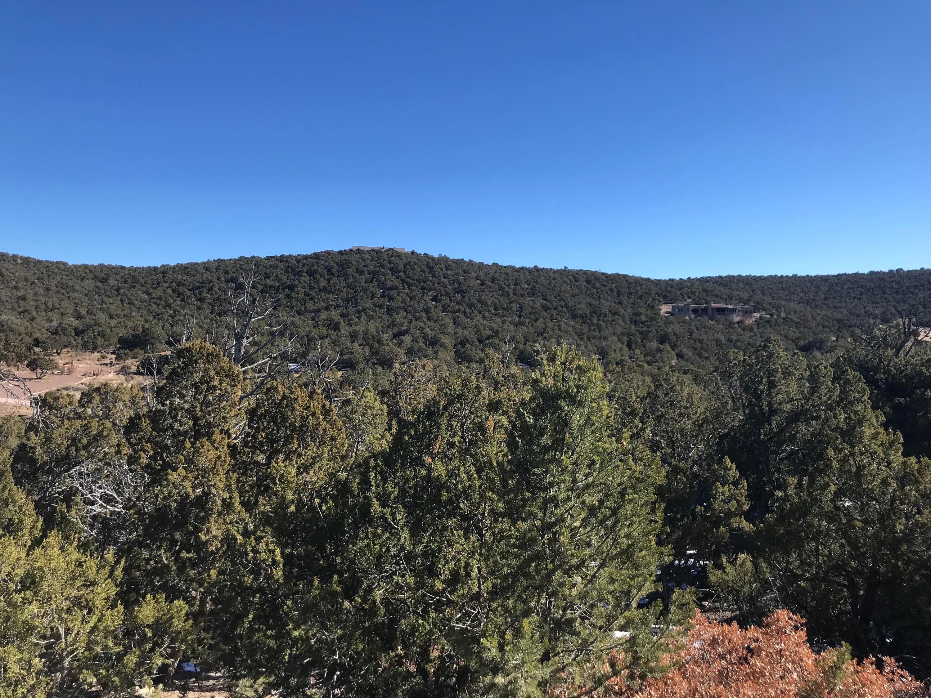 29 Canon Escondido