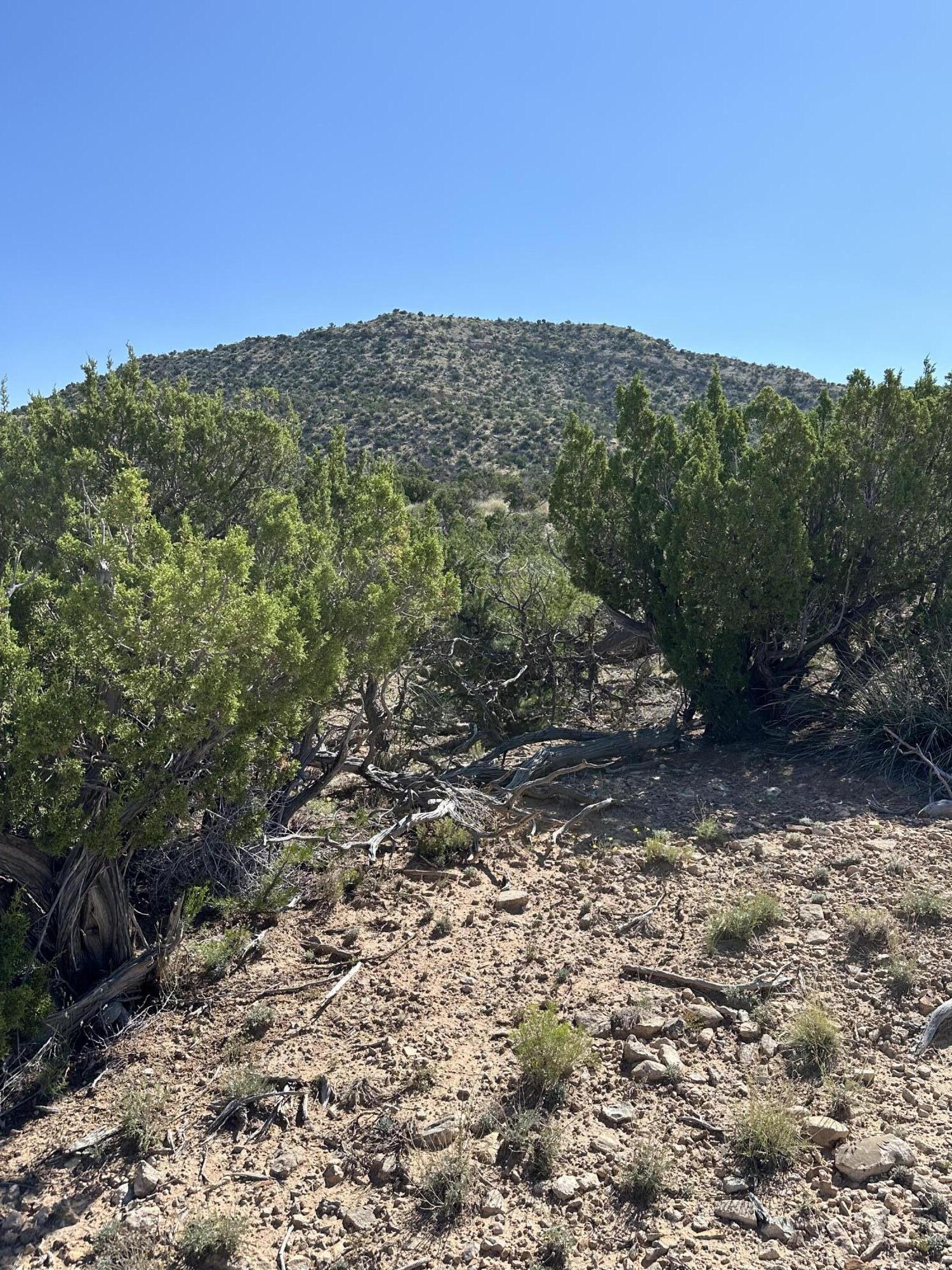 10 San Miguel Trail, Mountainair, New Mexico image 4