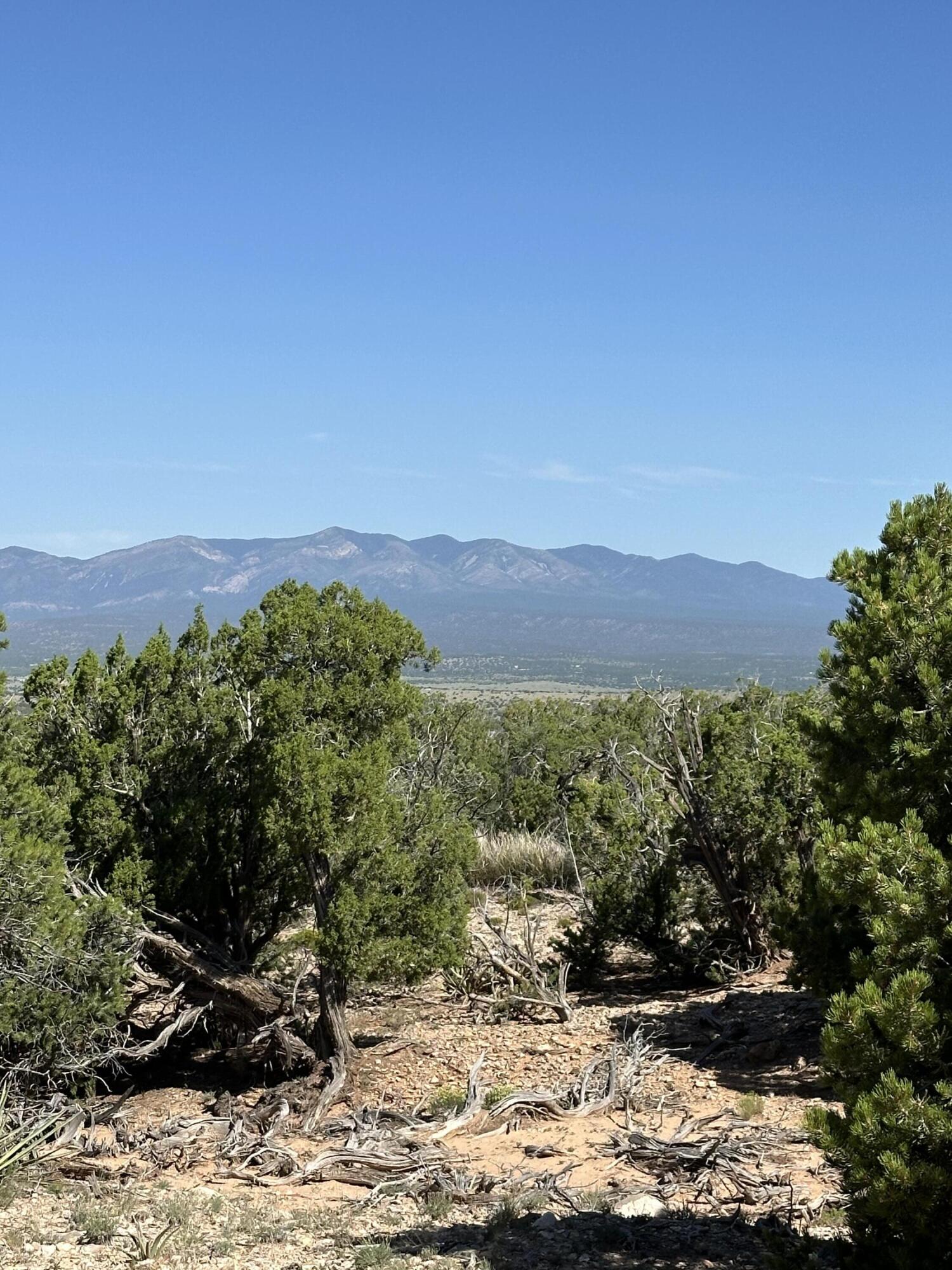 10 San Miguel Trail, Mountainair, New Mexico image 1