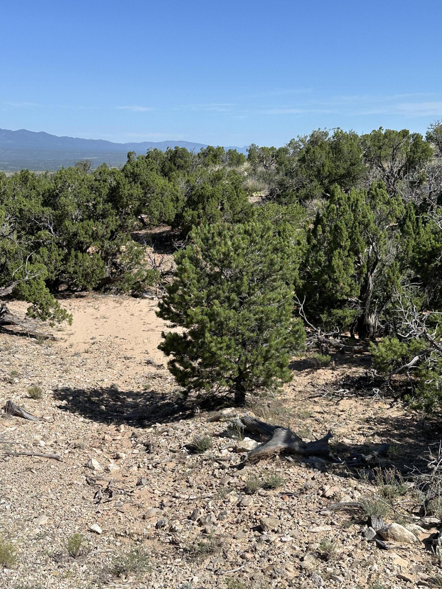 10 San Miguel Trail, Mountainair, New Mexico image 3