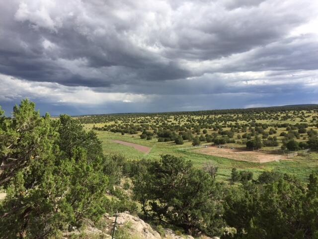117 Vista Montana Road, Estancia, New Mexico image 50