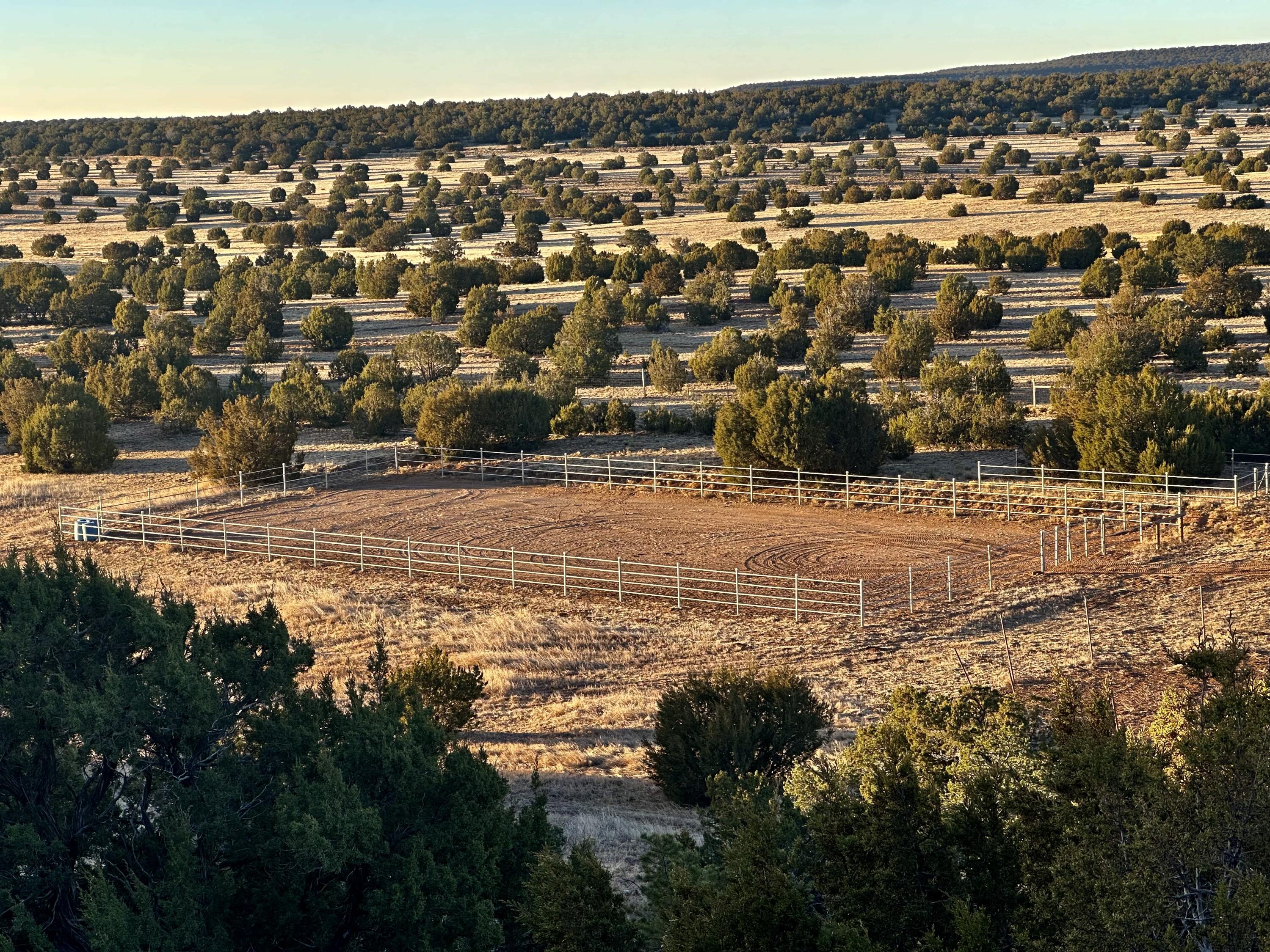 117 Vista Montana Road, Estancia, New Mexico image 14