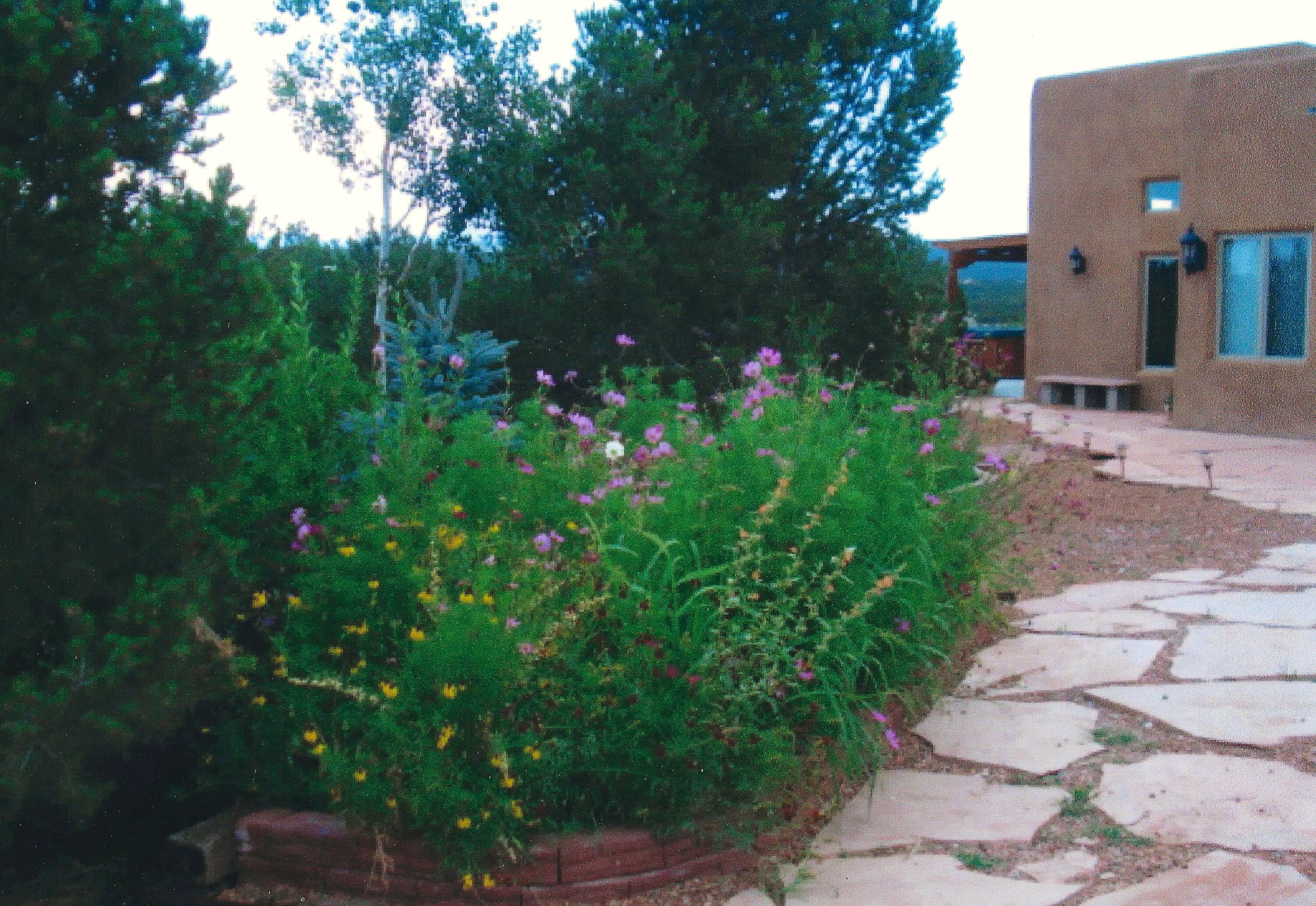 117 Vista Montana Road, Estancia, New Mexico image 3