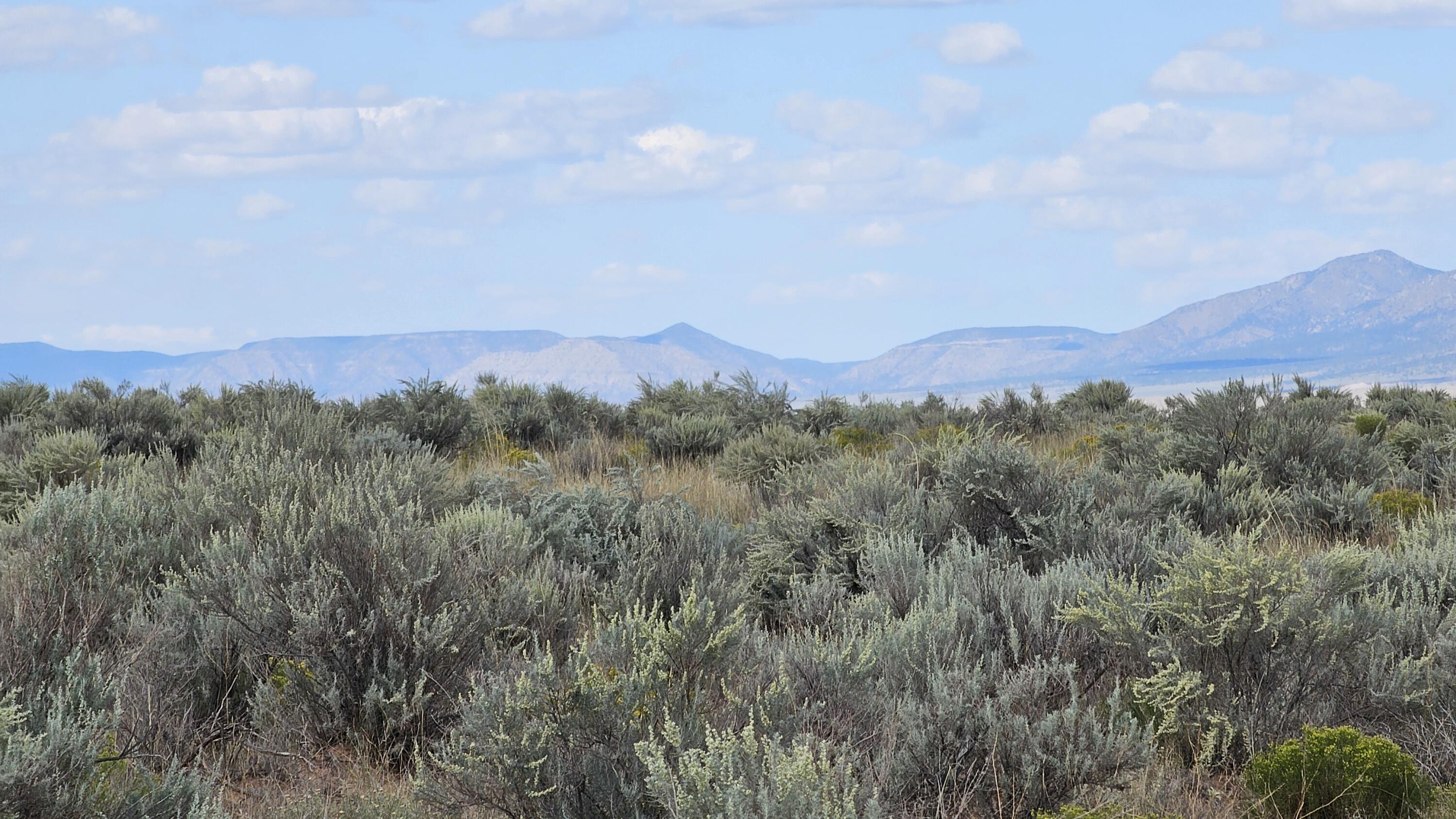 VL Lot: 10 Block: 589 #25, Rio Communities, New Mexico image 1