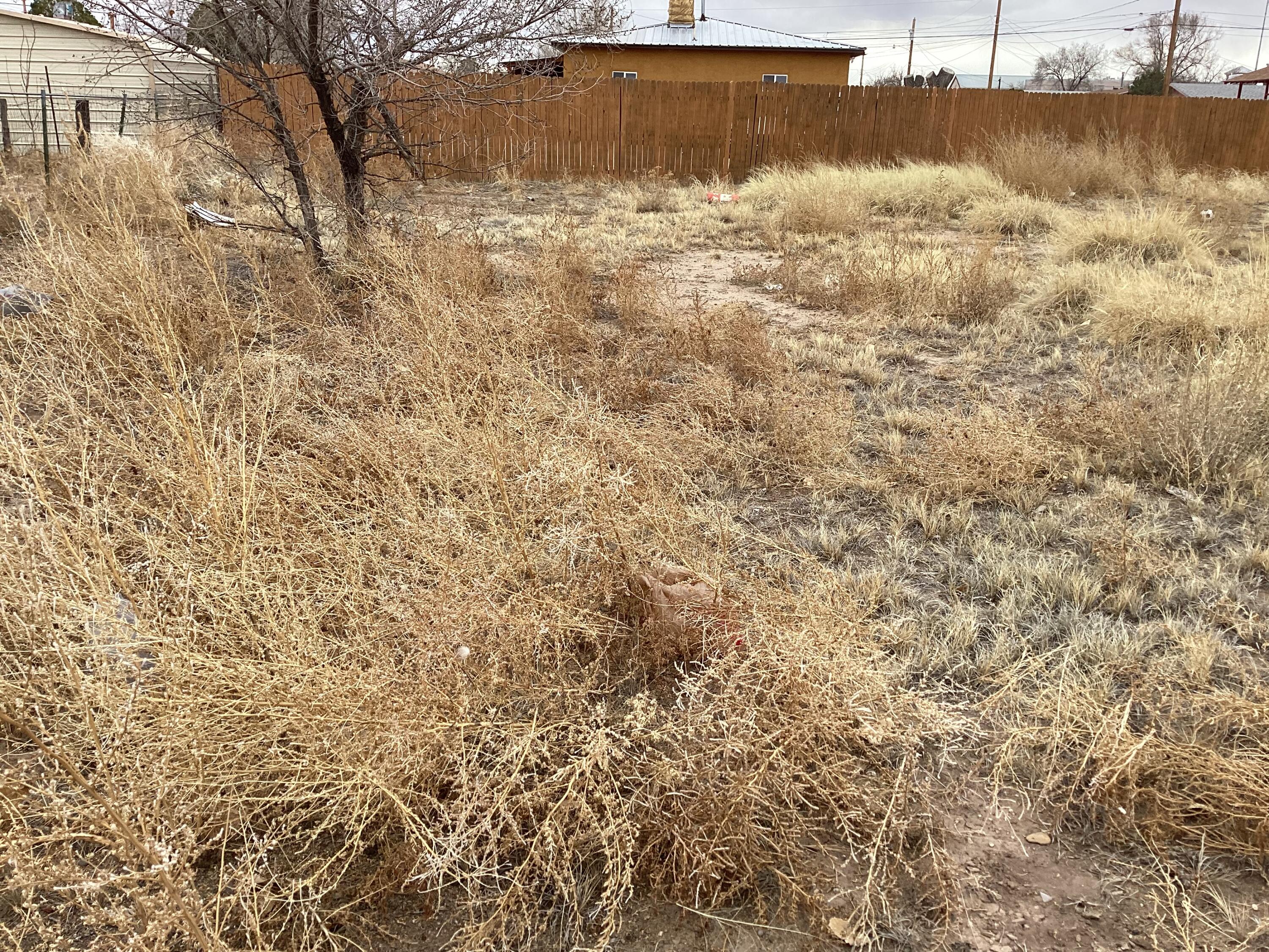 Aragon, Belen, New Mexico image 8