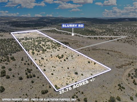 Vacant Land For Sale - LOT 4 Slurry Rd<br/> Pie Town, NM 87827