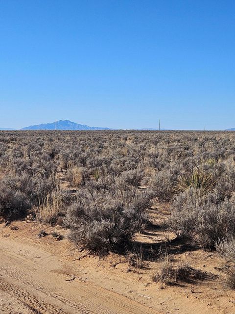 Vacant Land For Sale - Duarte Lot 2 Road<br/> Valencia County, Los Lunas, NM 87031