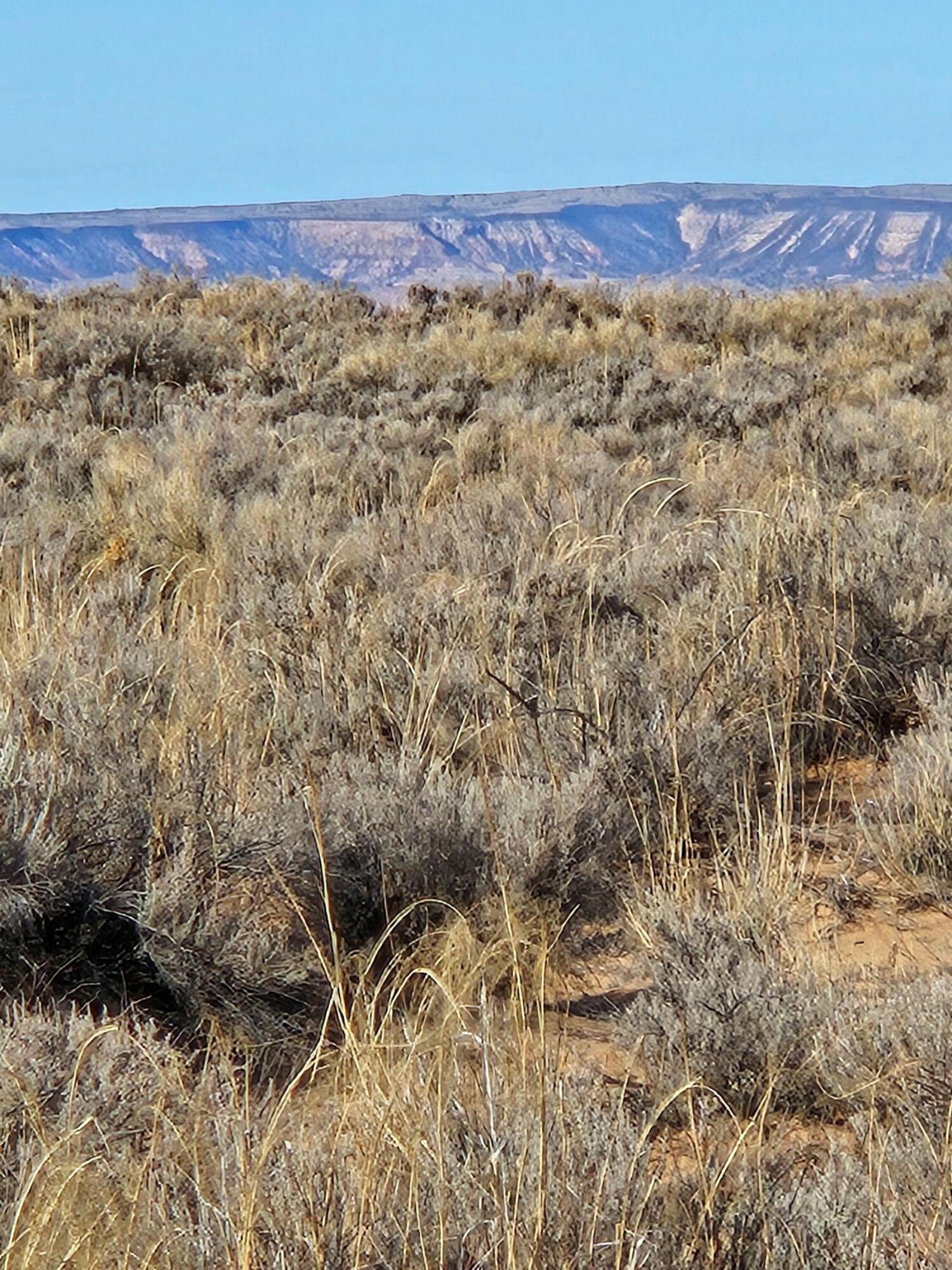 Duarte Lot 2 Road