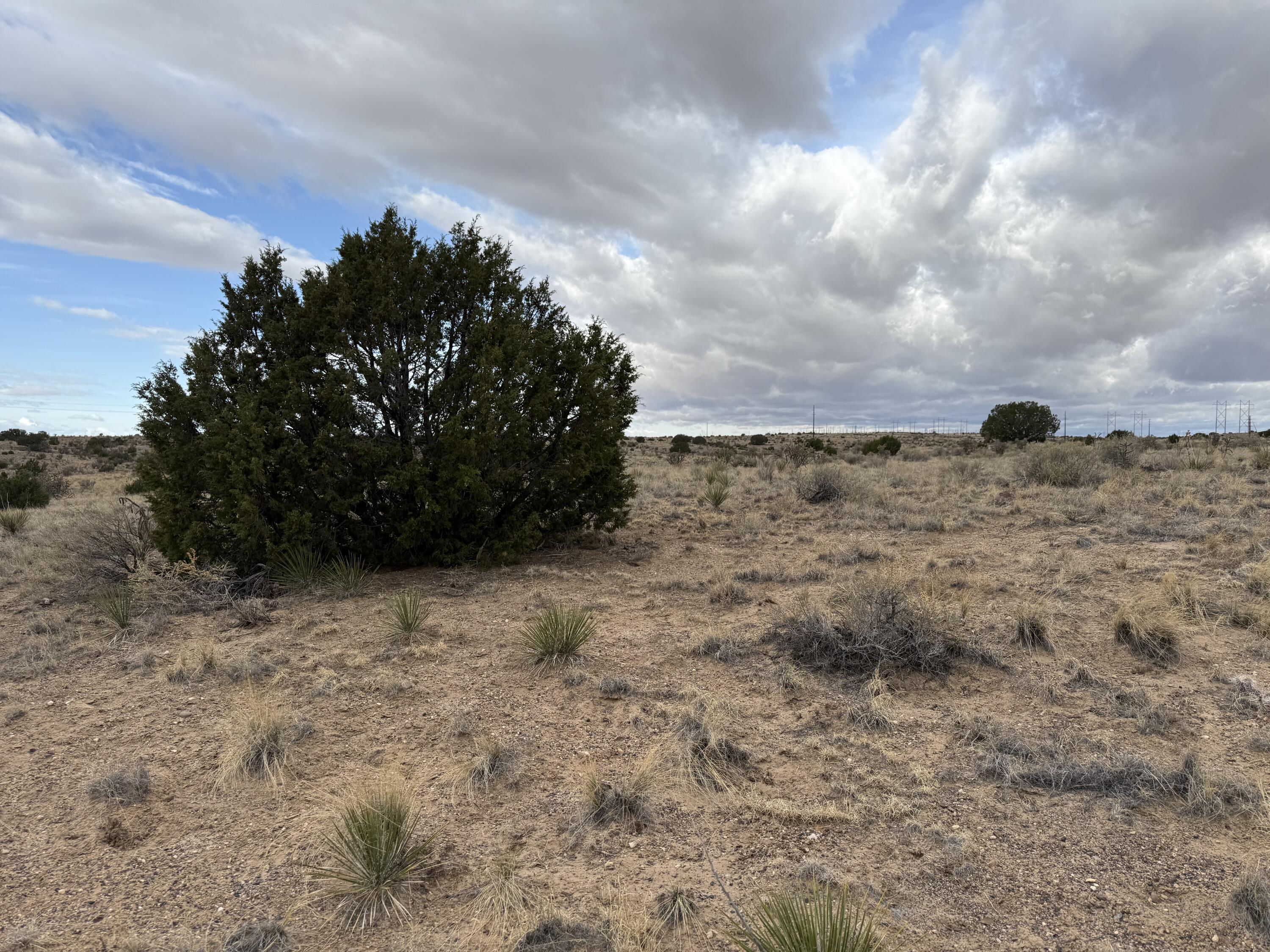 Lot 34 Zebra Ct, Rio Rancho, New Mexico image 5
