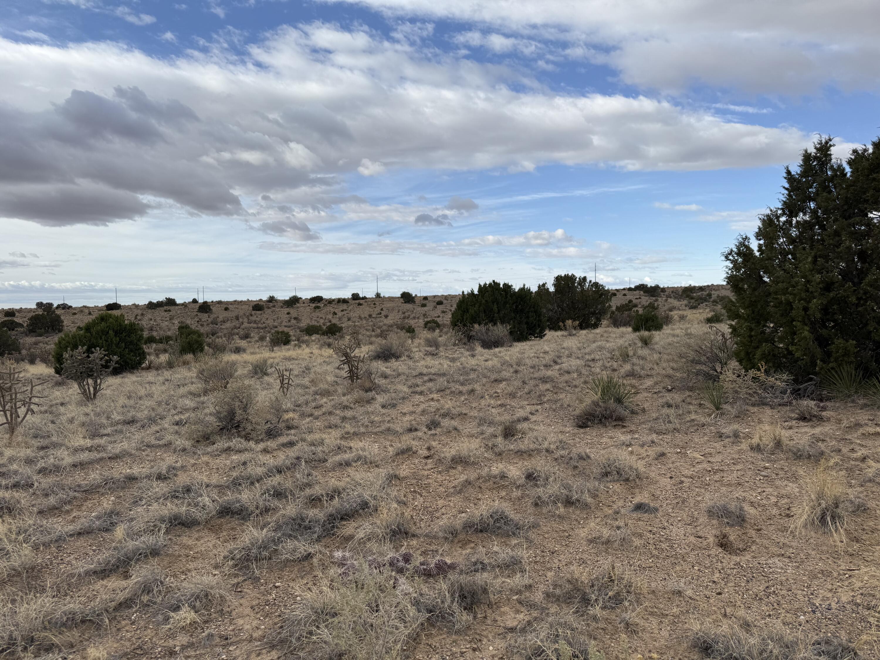 Lot 34 Zebra Ct, Rio Rancho, New Mexico image 4