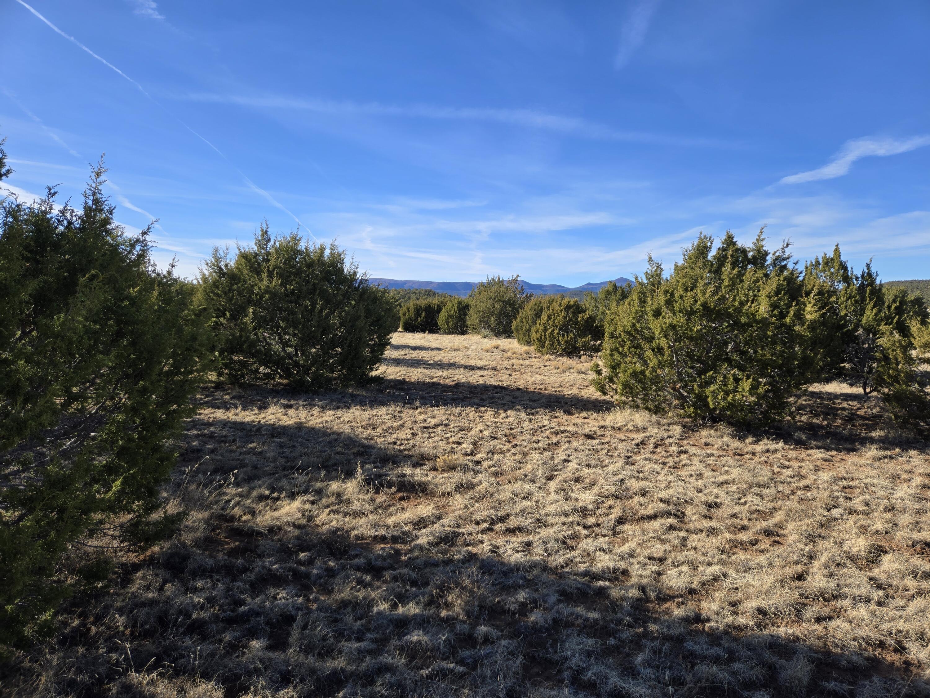 Rosewood Drive #8, Tajique, New Mexico image 13