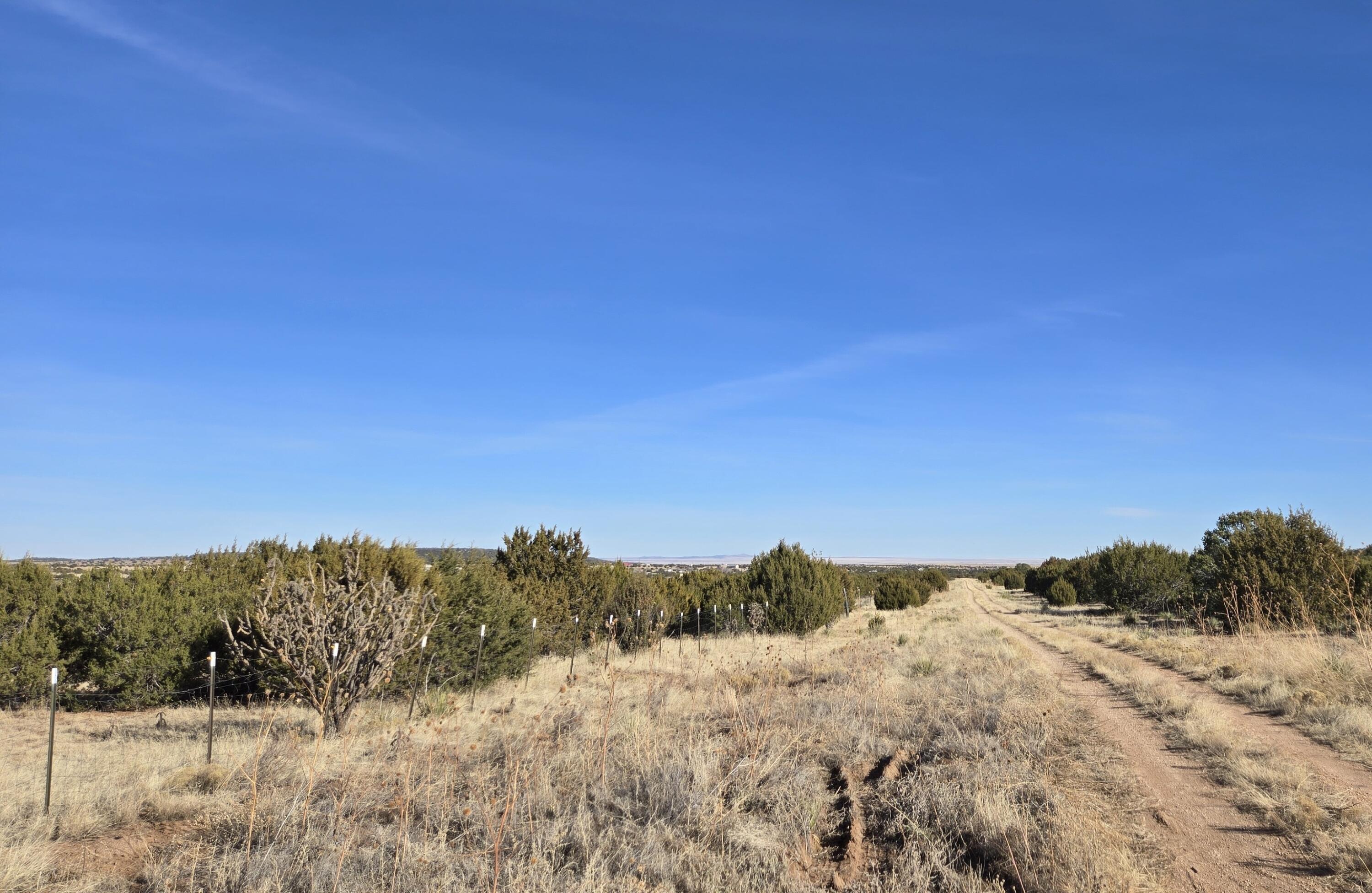 Rosewood Drive #8, Tajique, New Mexico image 4