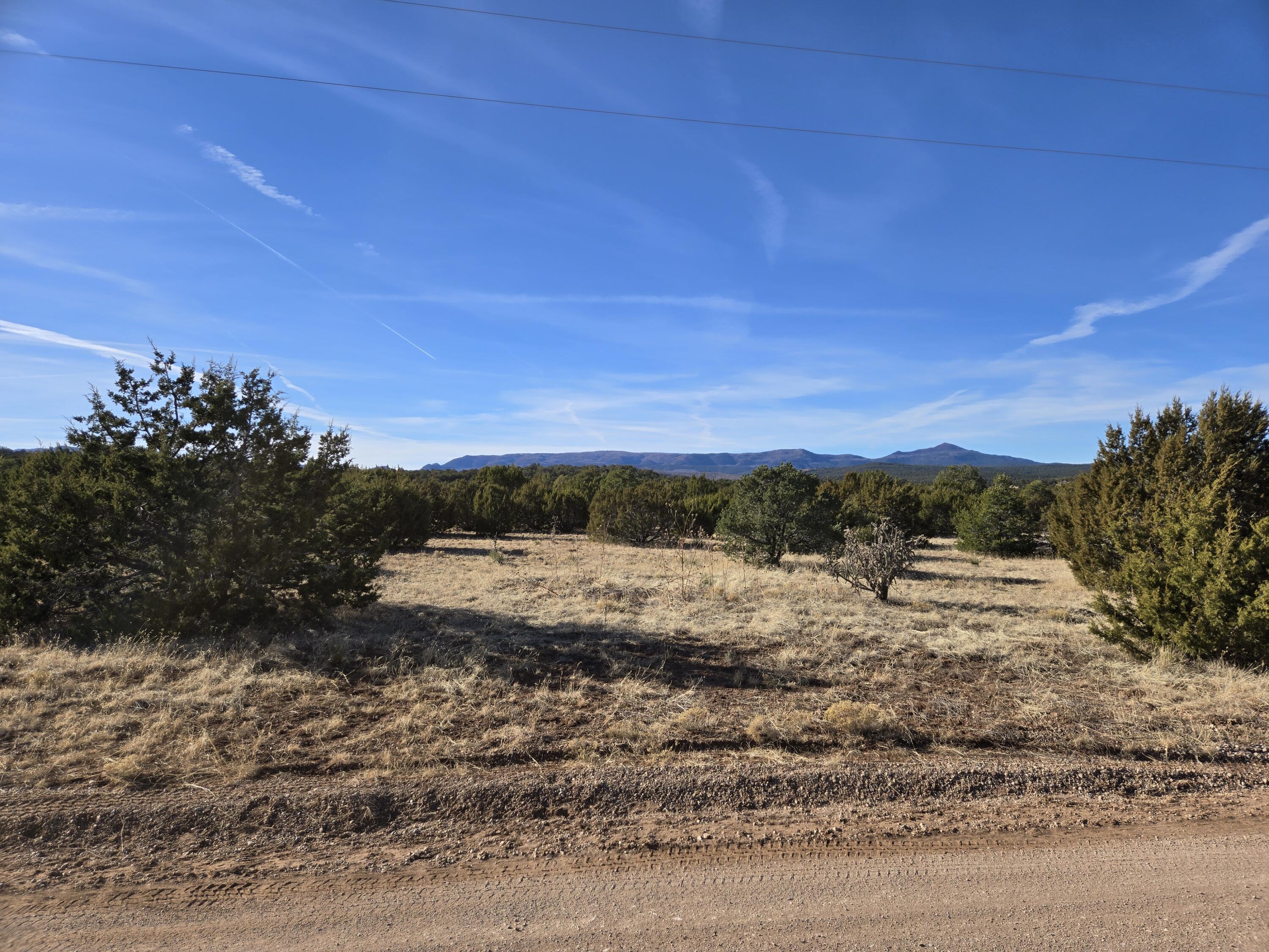 Rosewood Drive #8, Tajique, New Mexico image 9