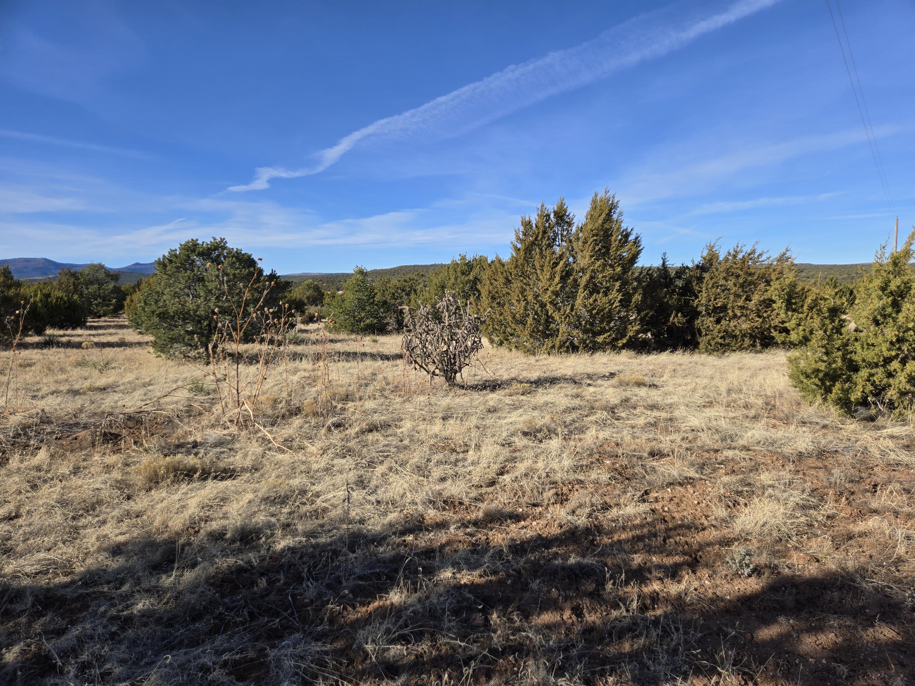 Rosewood Drive #8, Tajique, New Mexico image 6