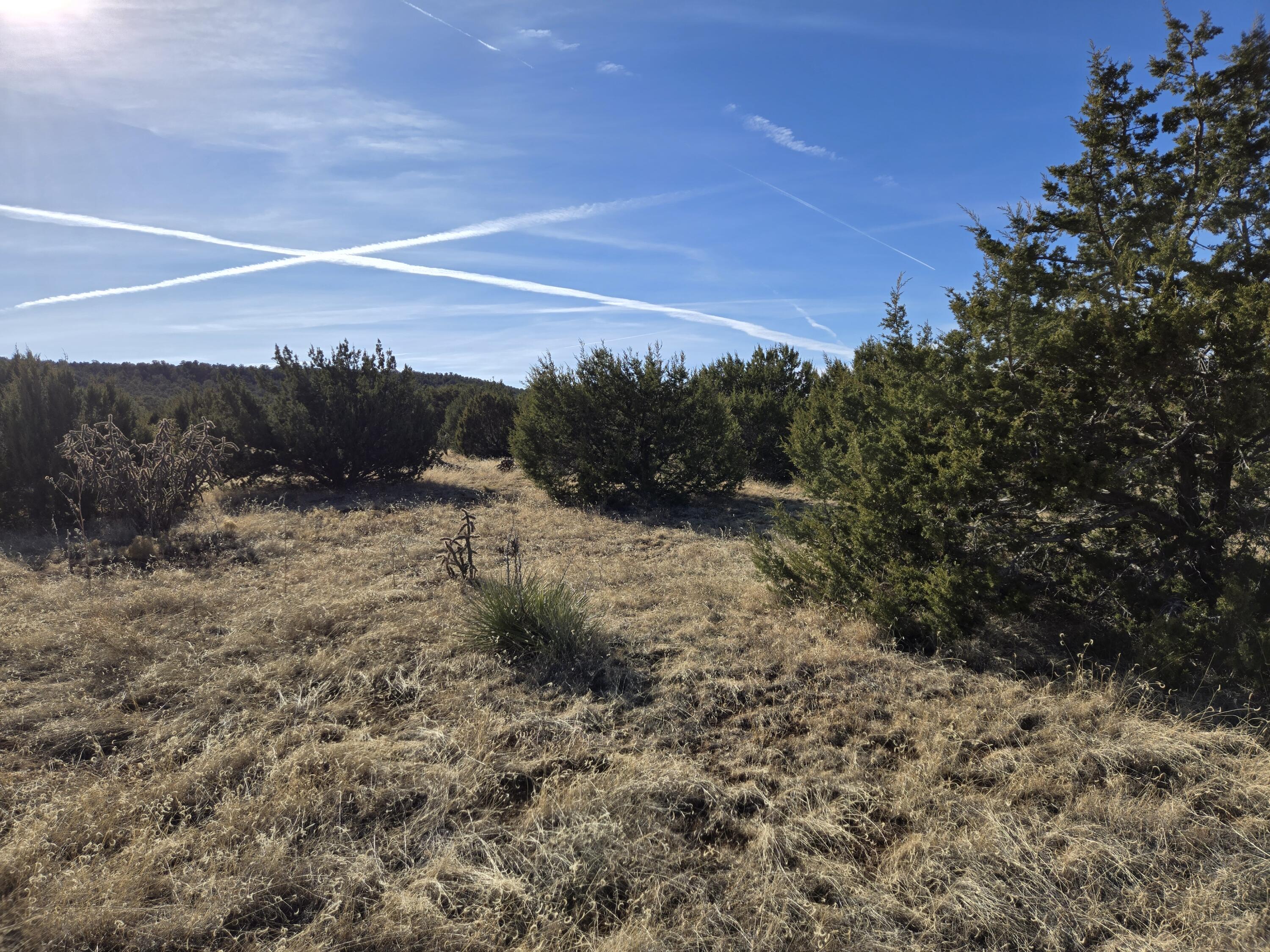 Rosewood Drive #8, Tajique, New Mexico image 8