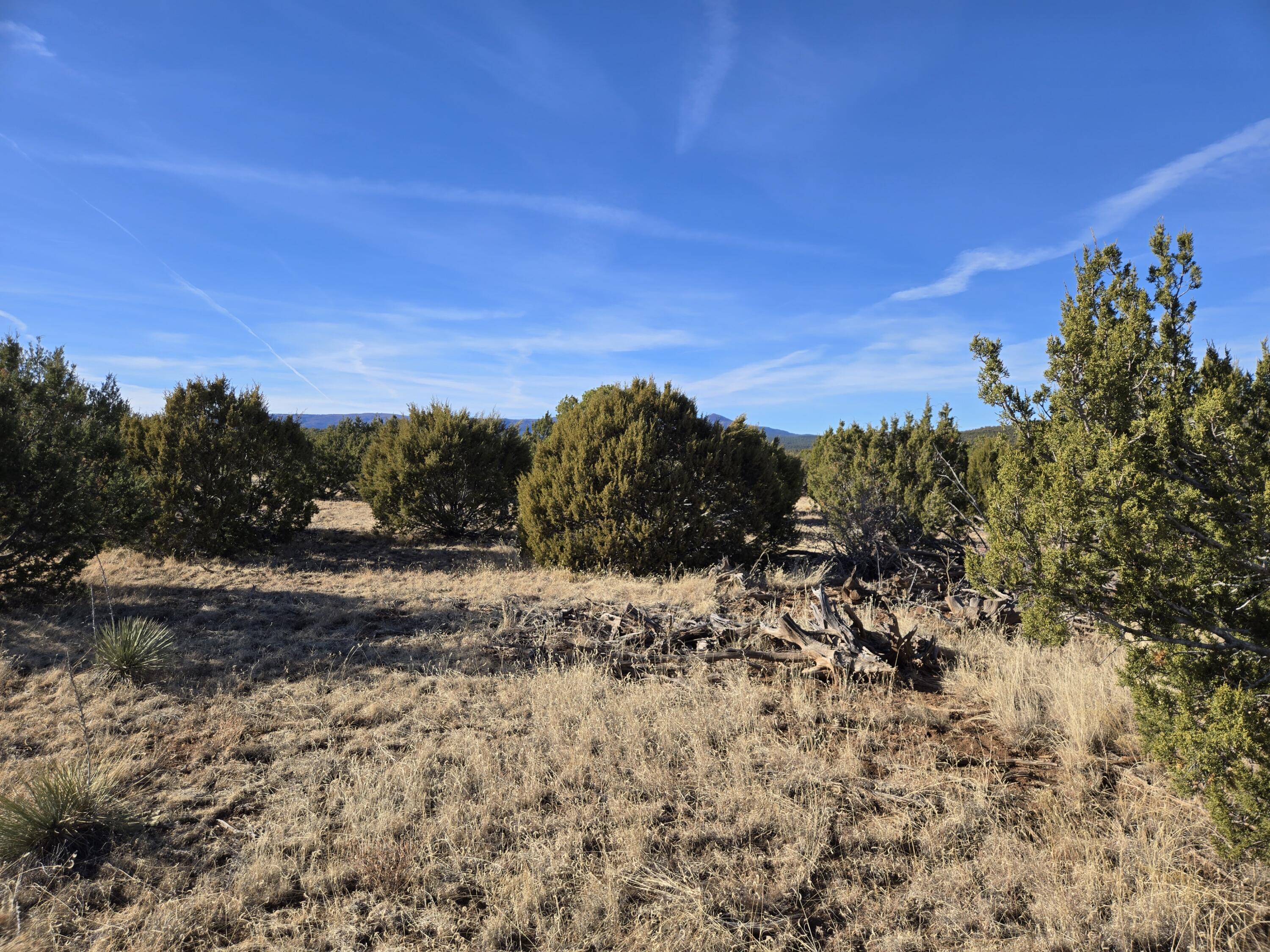 Rosewood Drive #8, Tajique, New Mexico image 10