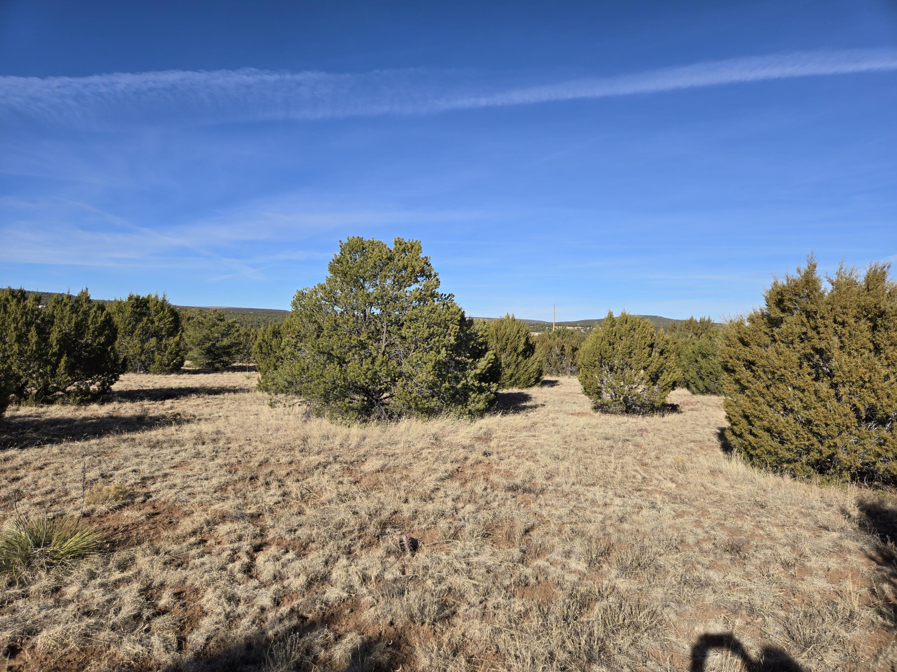 Rosewood Drive #8, Tajique, New Mexico image 14