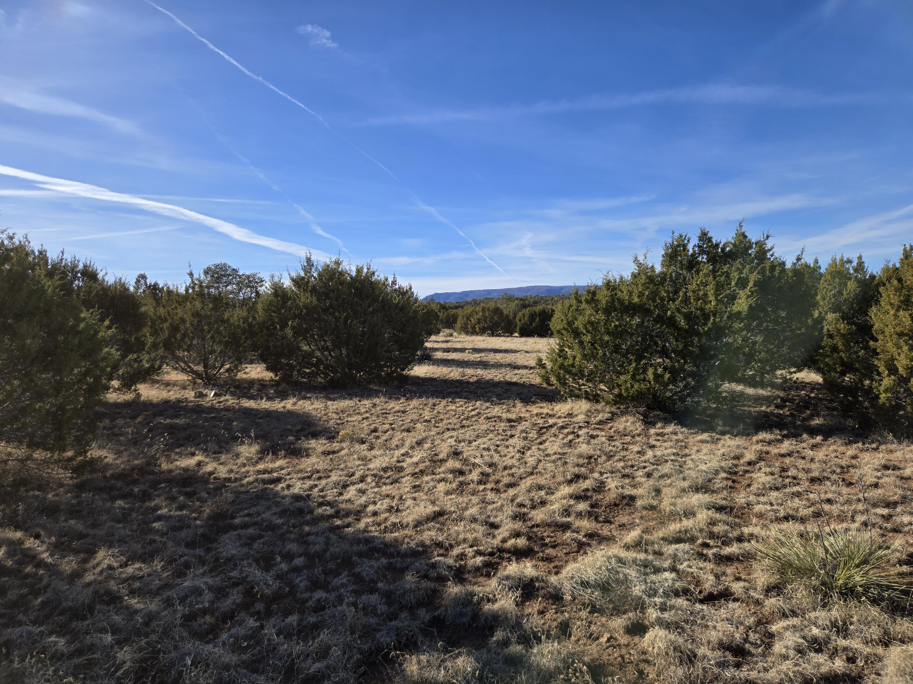 Rosewood Drive #8, Tajique, New Mexico image 15