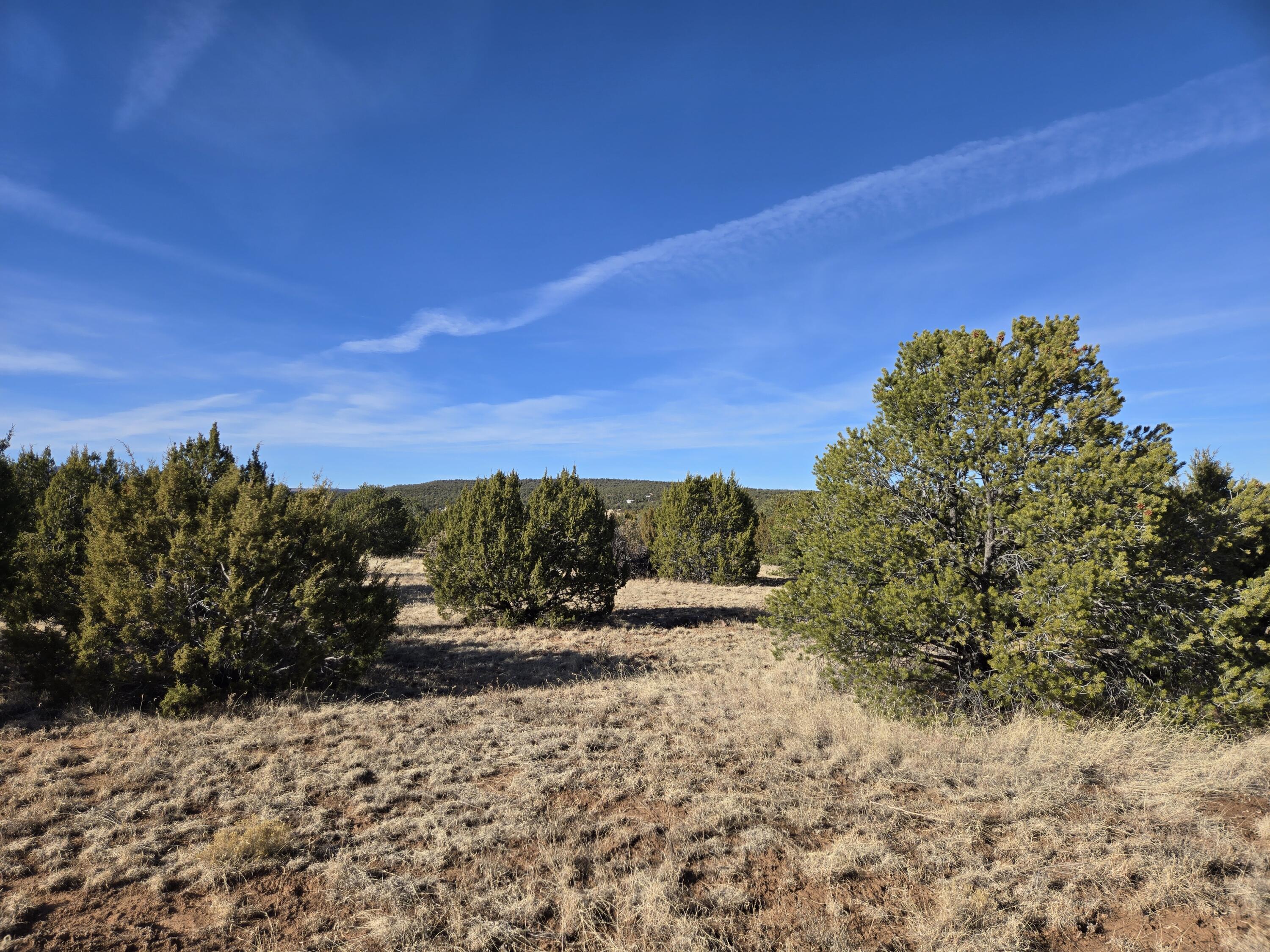 Rosewood Drive #8, Tajique, New Mexico image 16