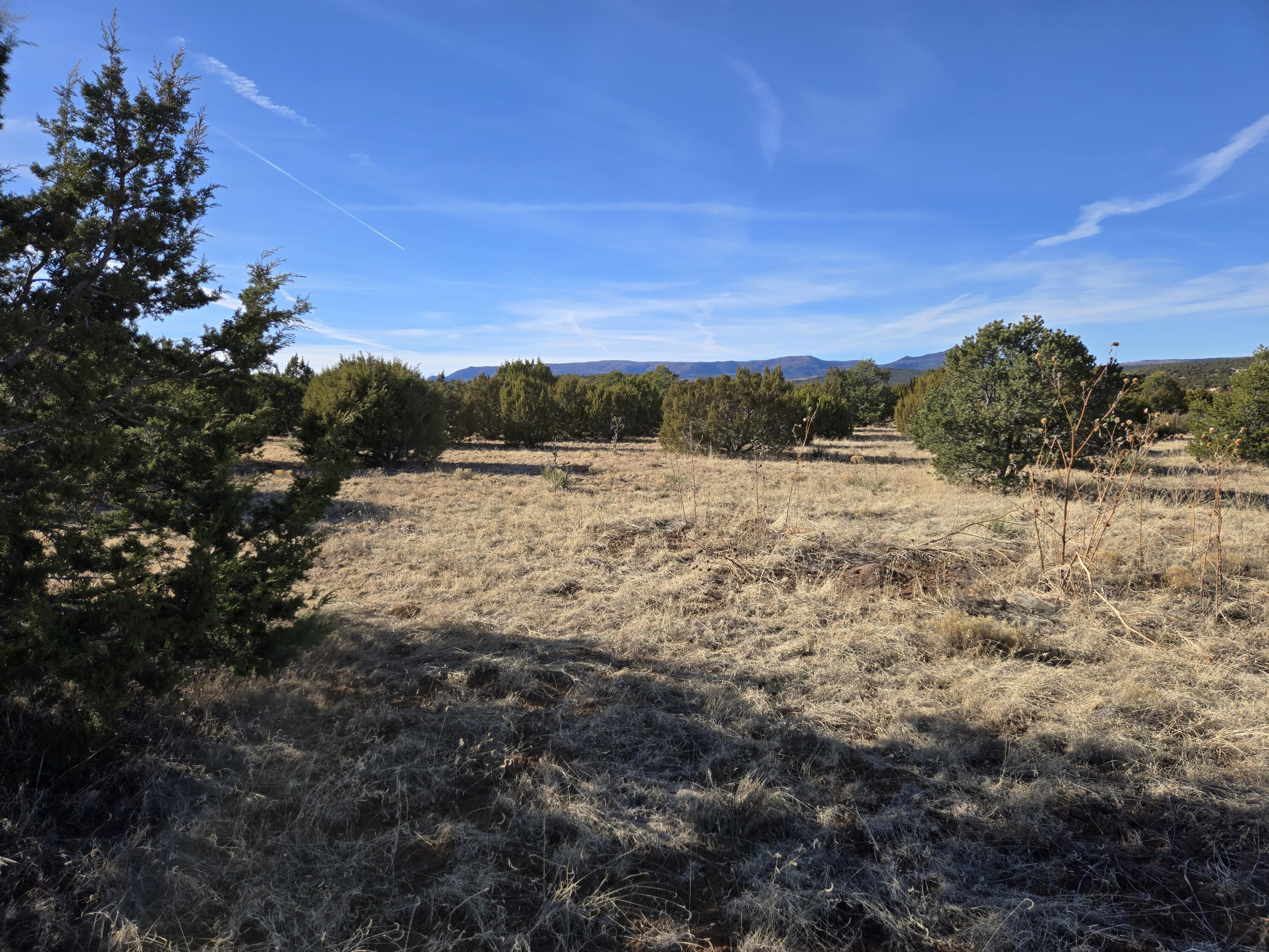 Rosewood Drive #8, Tajique, New Mexico image 7