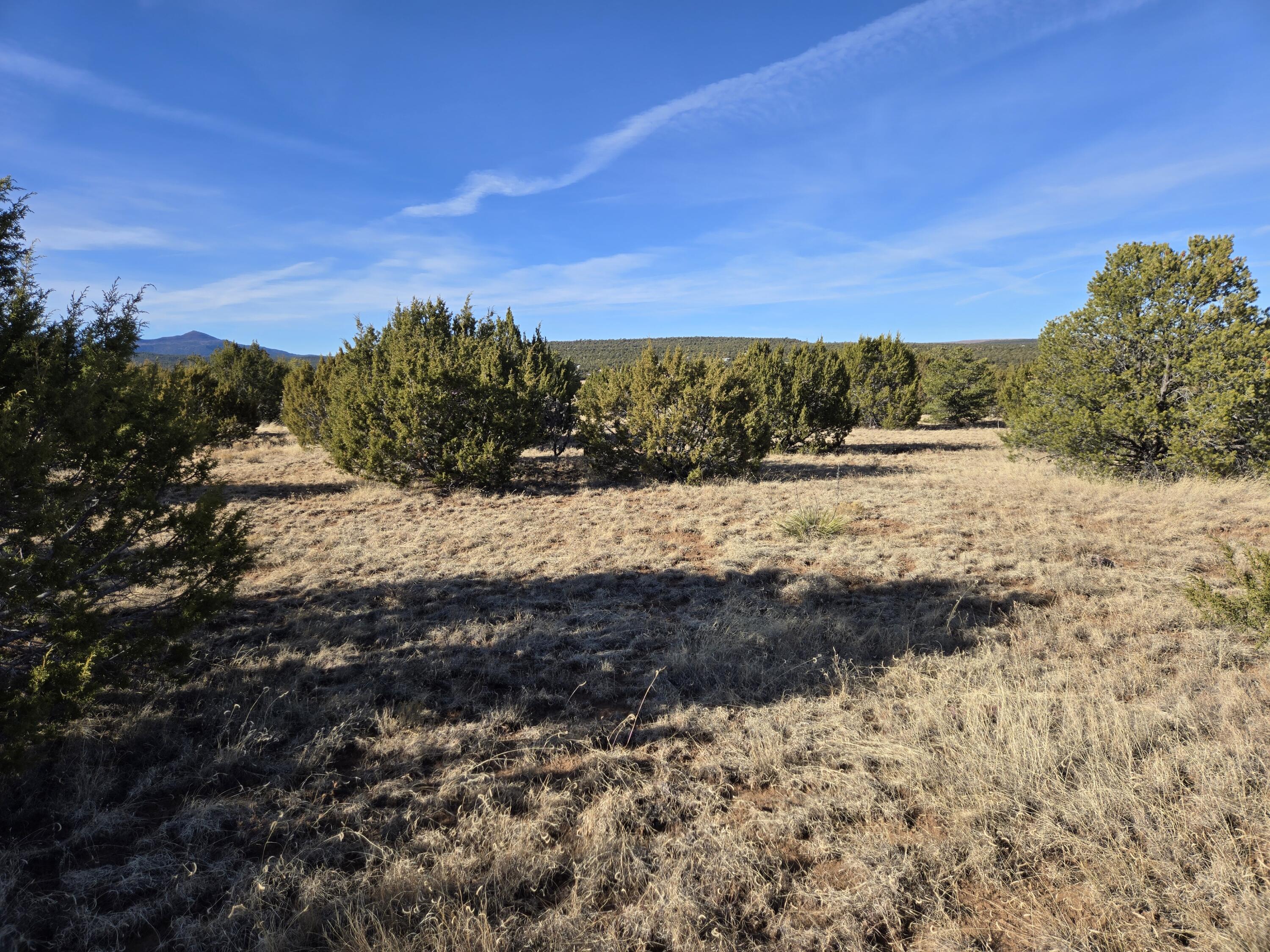 Rosewood Drive #8, Tajique, New Mexico image 12