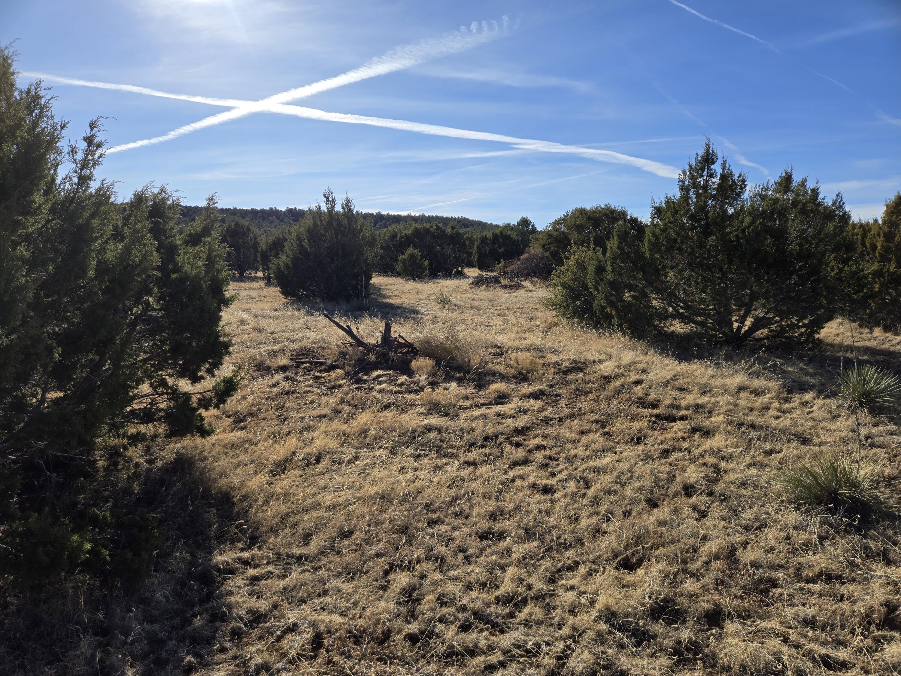 Rosewood Drive #8, Tajique, New Mexico image 11