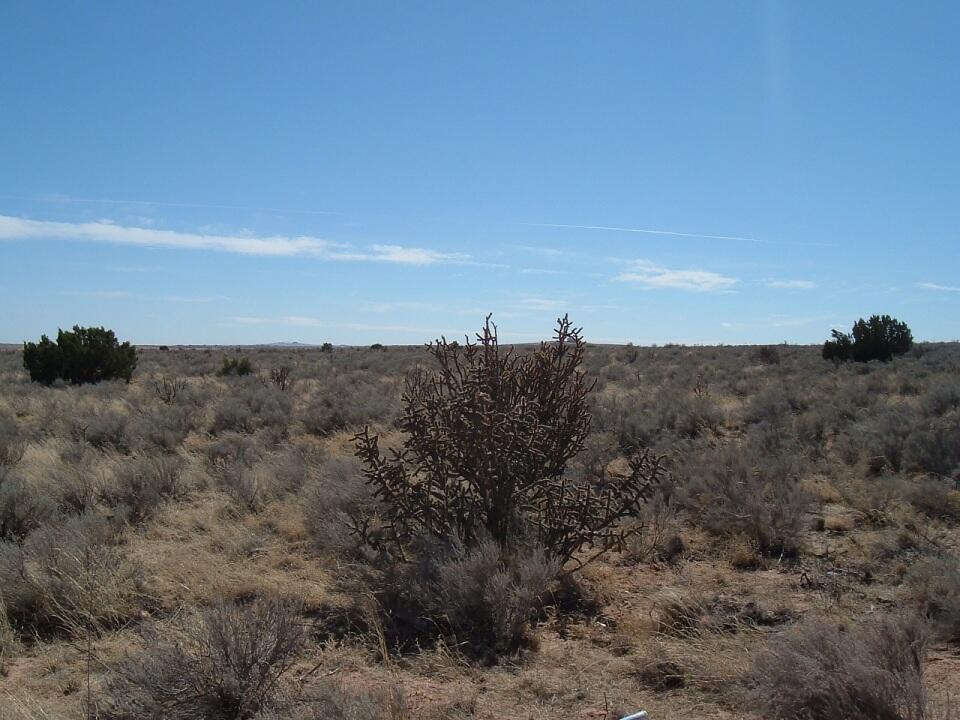 Overidge (u25 5 Lots) Road, Rio Rancho, New Mexico image 2