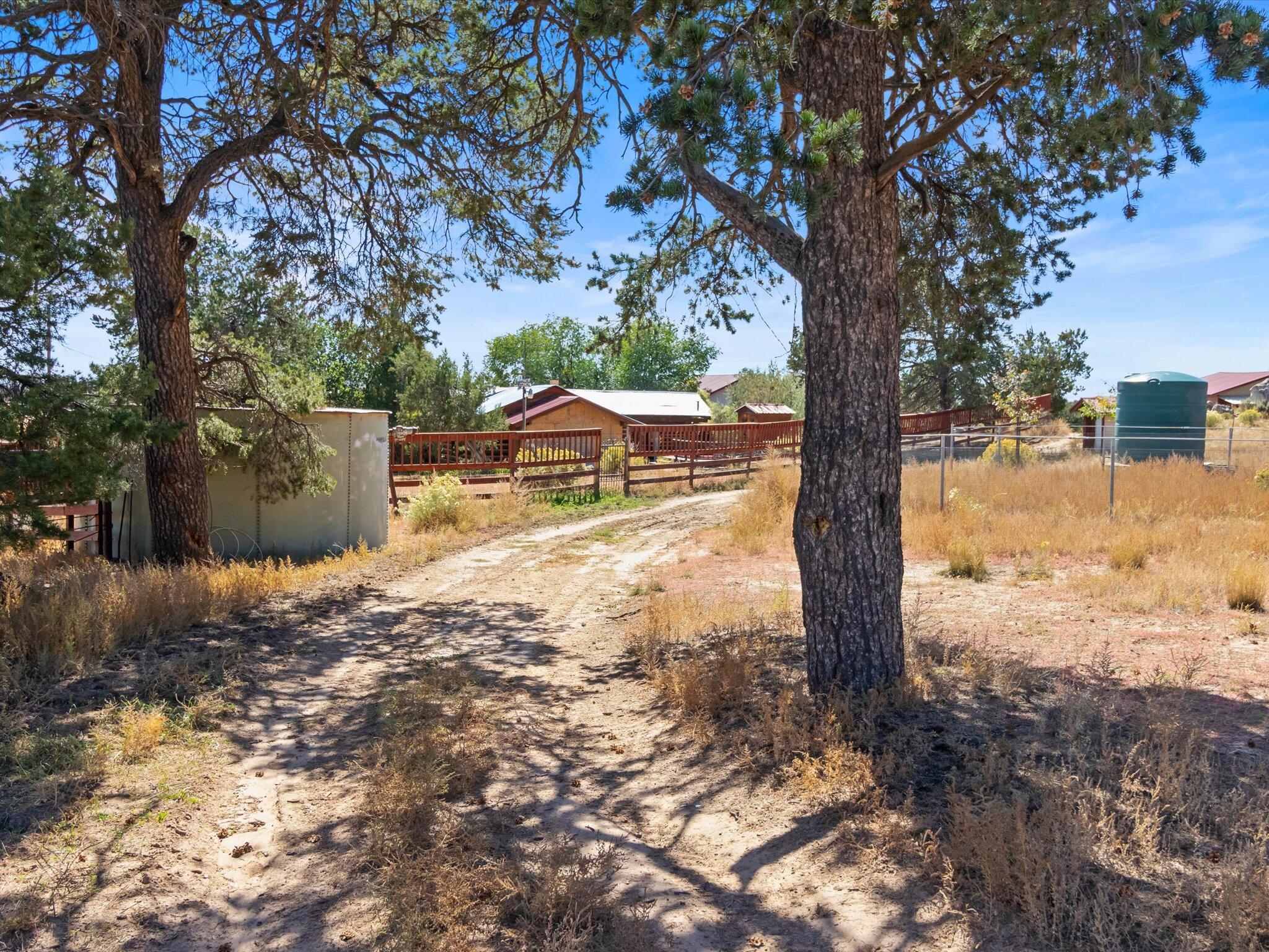 210 County Rd 398, Lindrith, New Mexico image 47