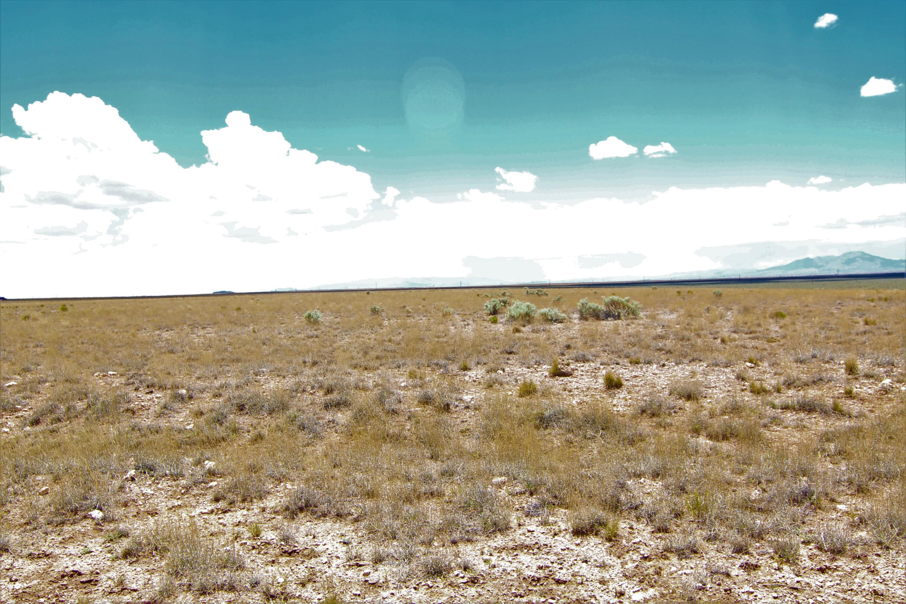 Encargo Loop, Belen, New Mexico image 6