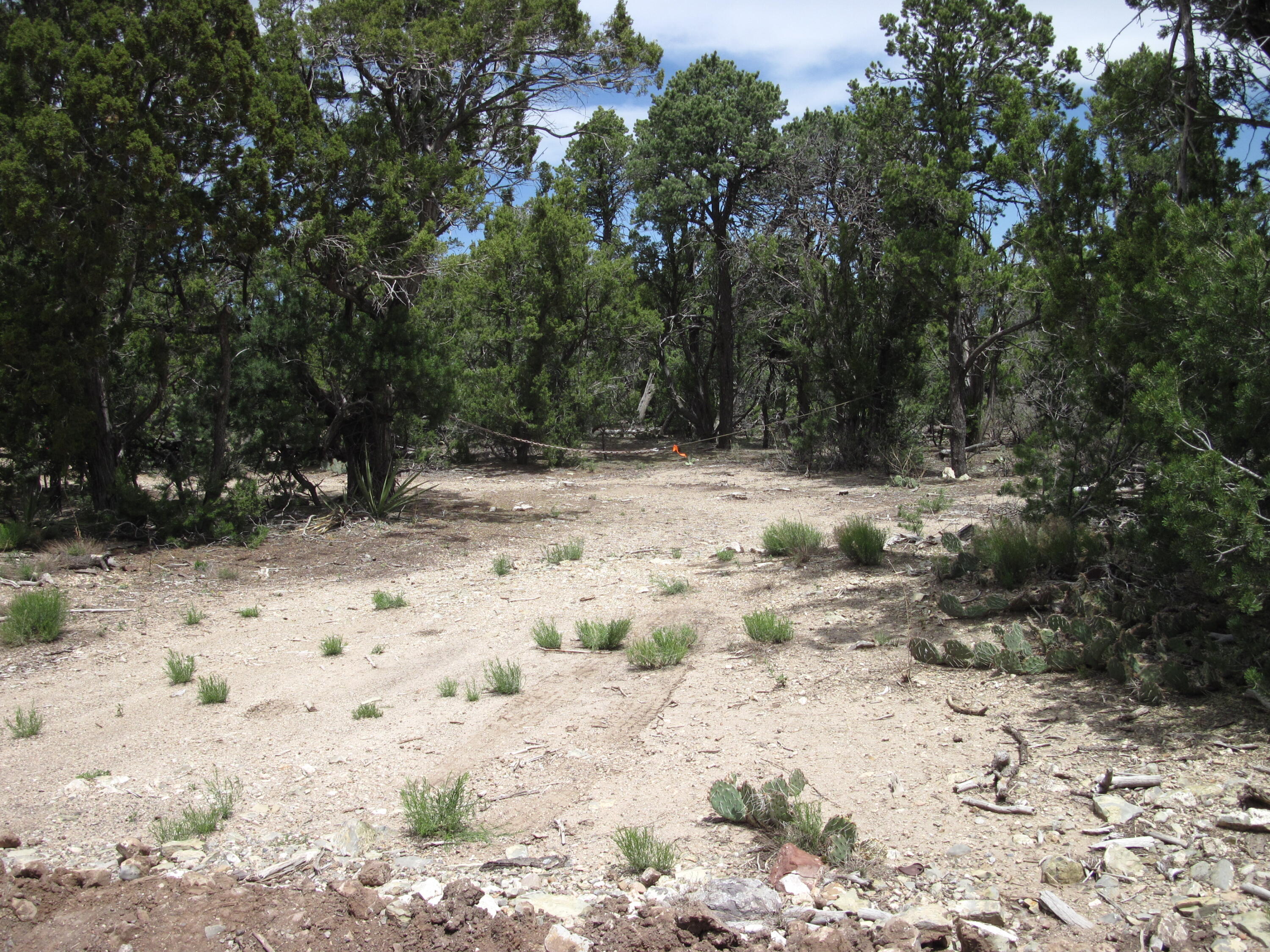 22 Vista Alta Drive, Tijeras, New Mexico image 13