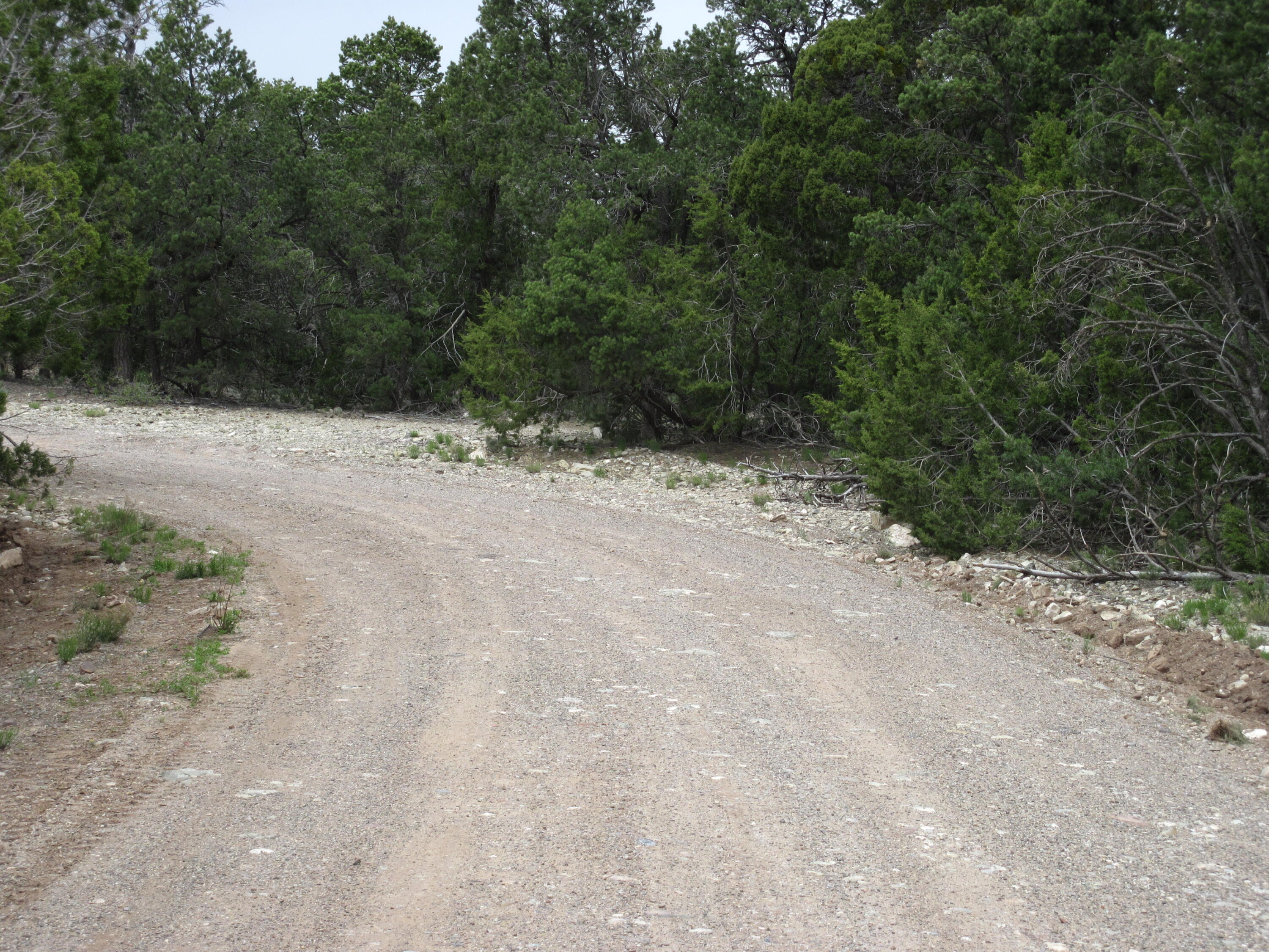 22 Vista Alta Drive, Tijeras, New Mexico image 4