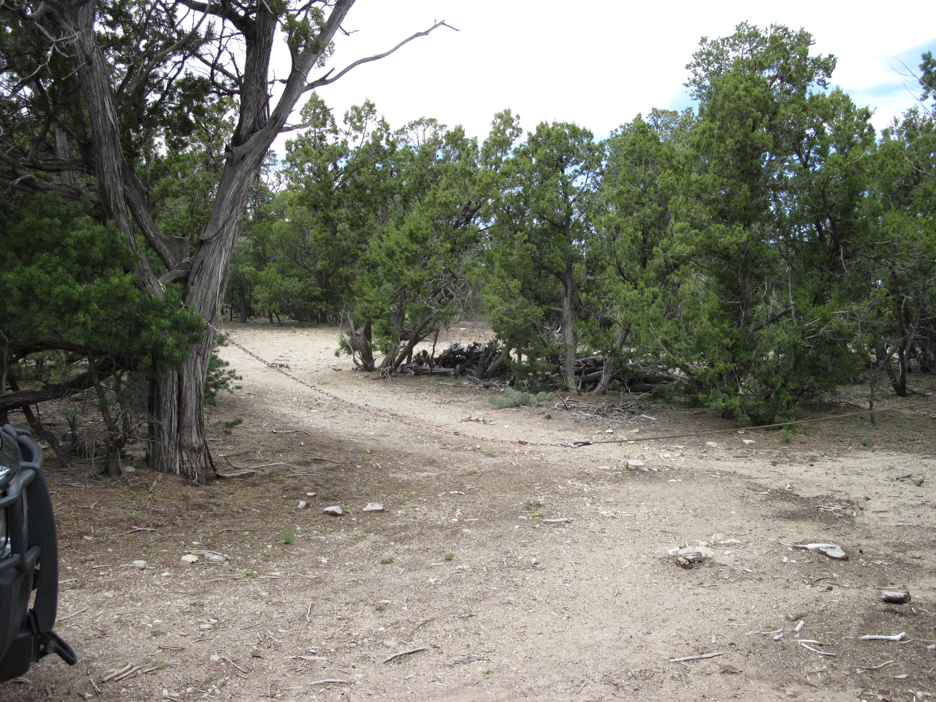 22 Vista Alta Drive, Tijeras, New Mexico image 7