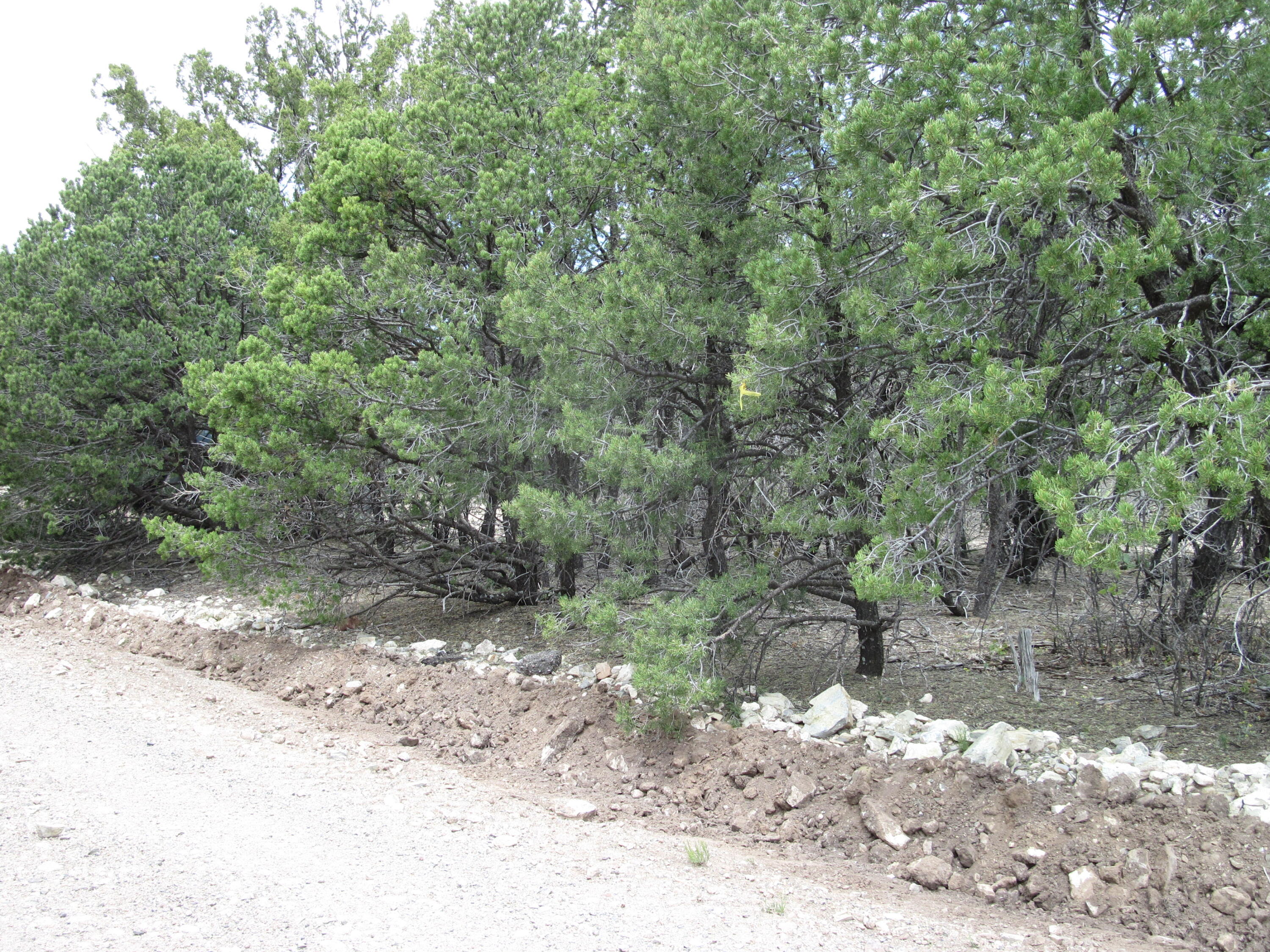 22 Vista Alta Drive, Tijeras, New Mexico image 5