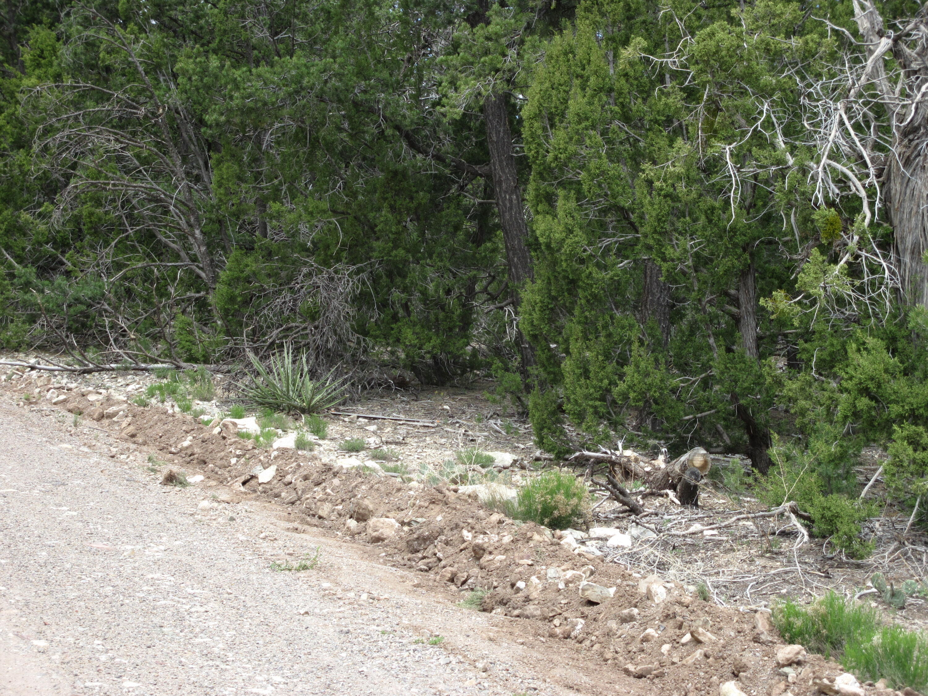 22 Vista Alta Drive, Tijeras, New Mexico image 3