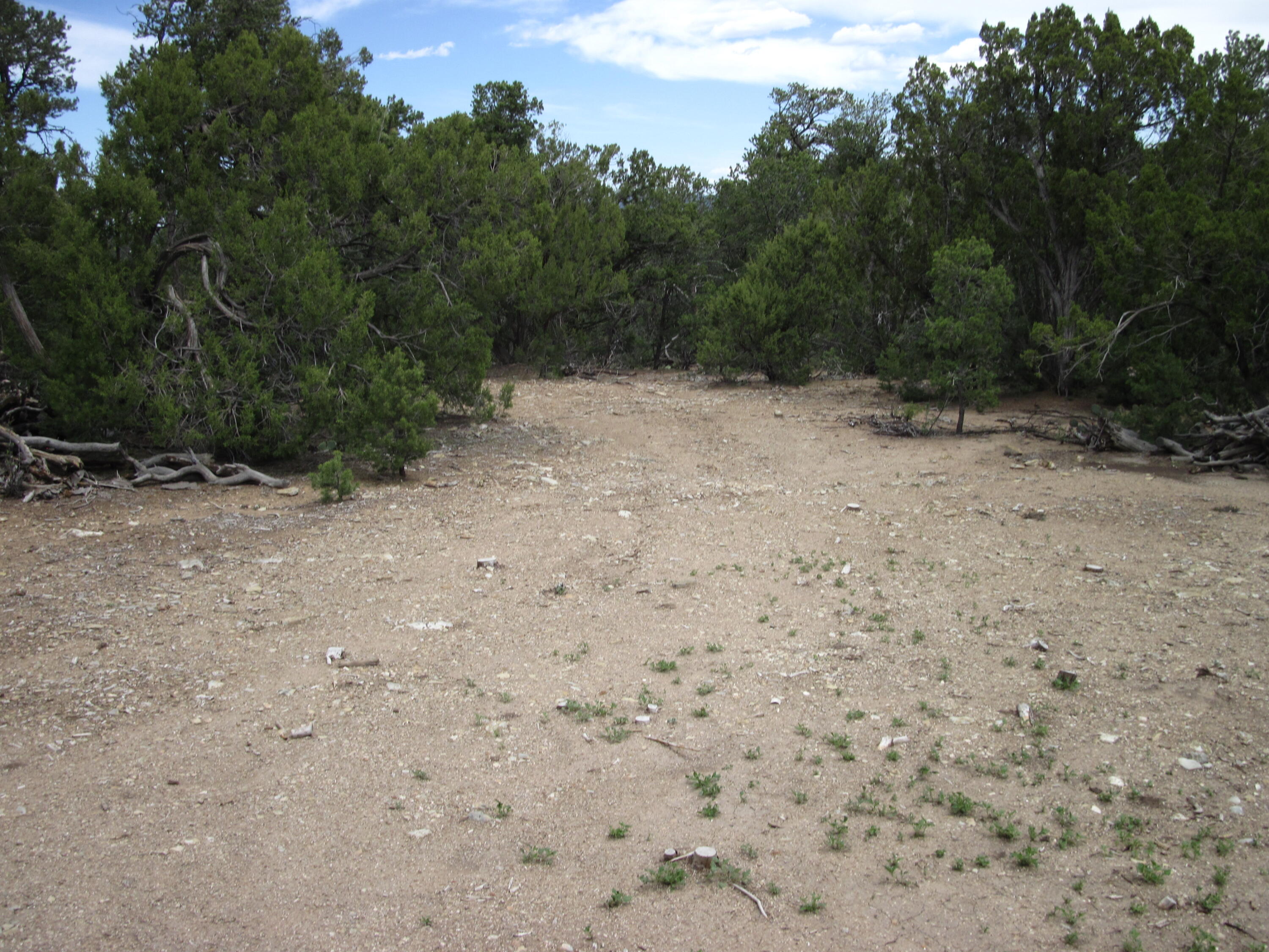 22 Vista Alta Drive, Tijeras, New Mexico image 8