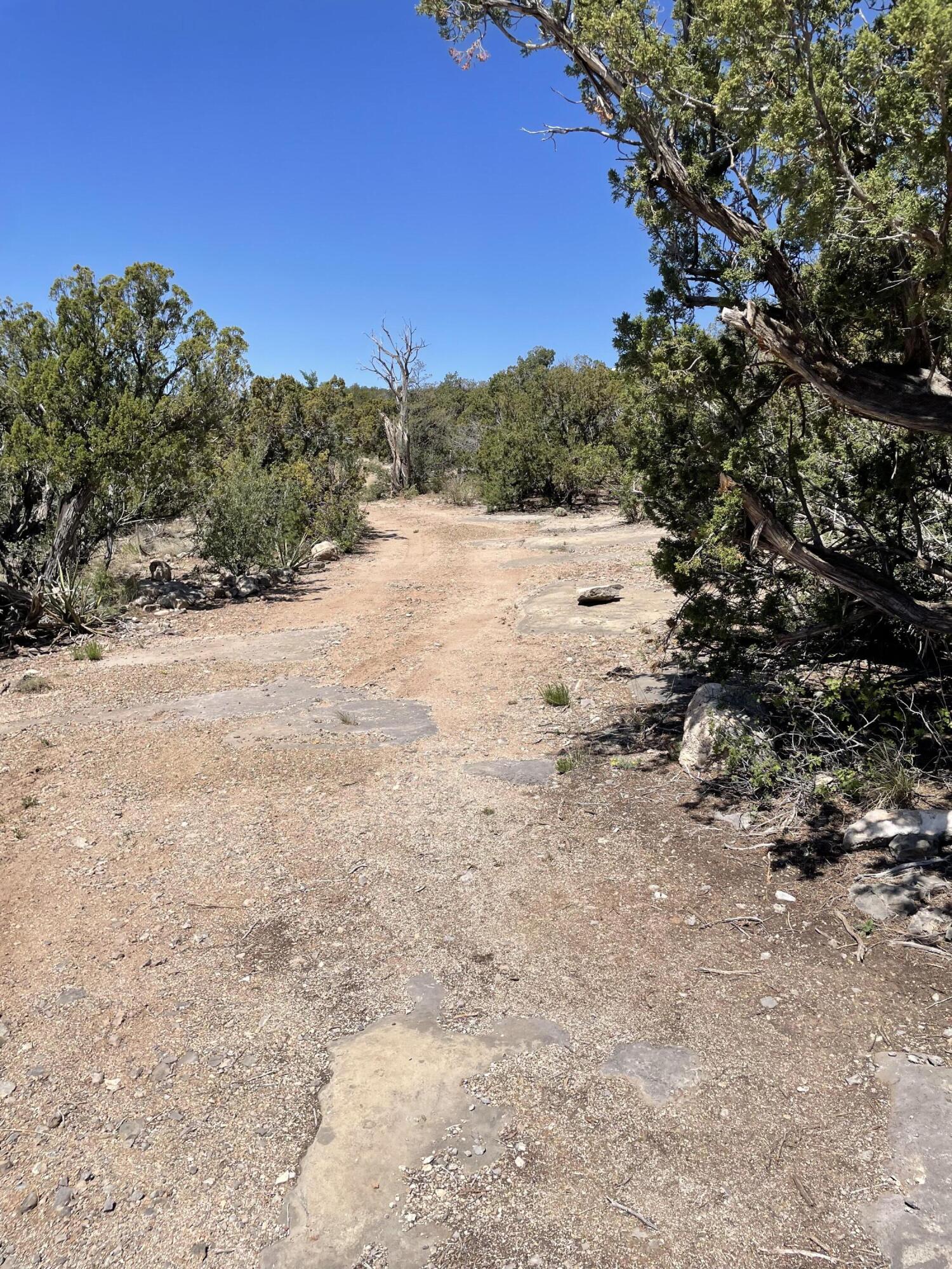 36 Morper Lane, Edgewood, New Mexico image 1
