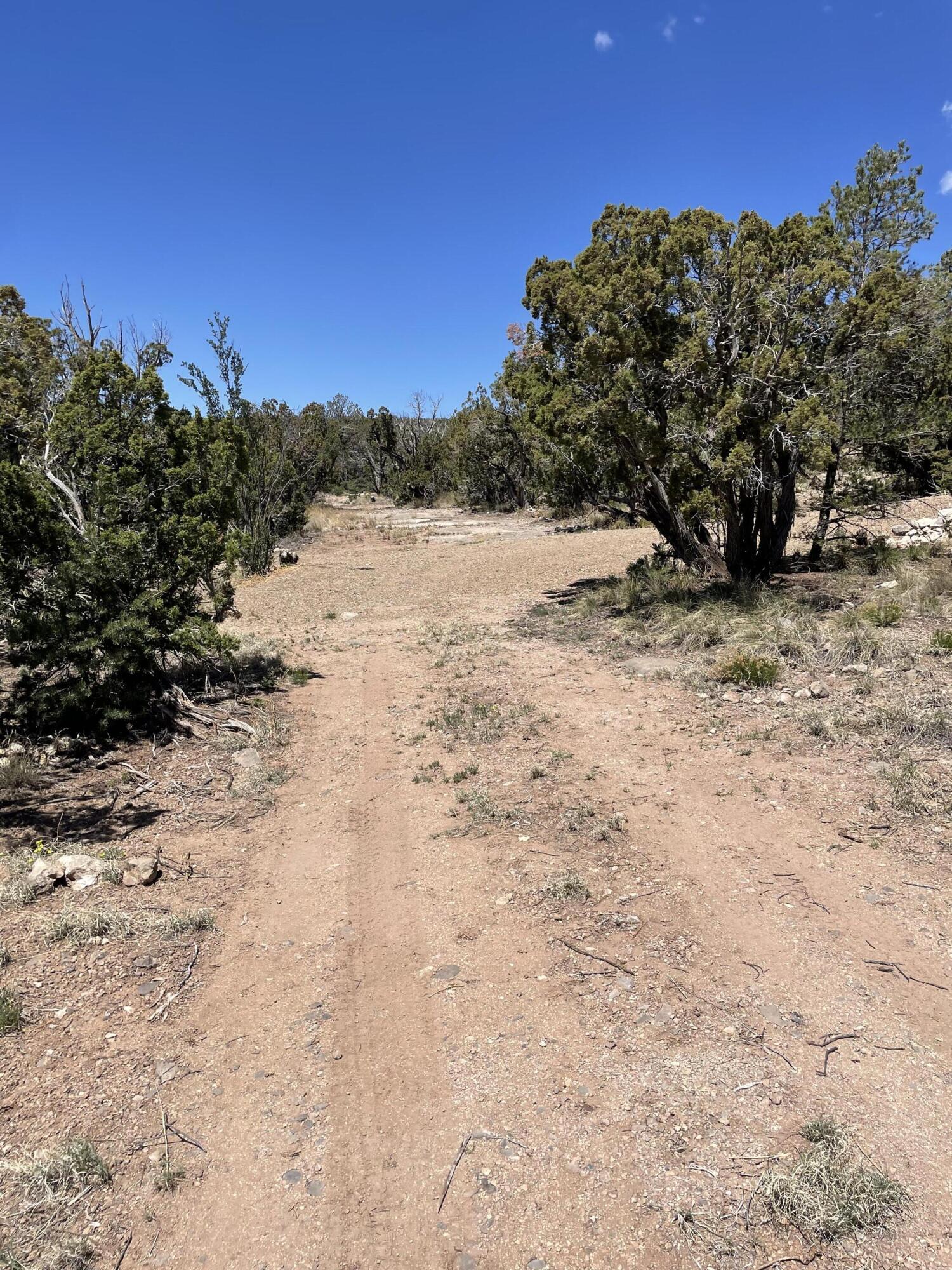 36 Morper Lane, Edgewood, New Mexico image 2