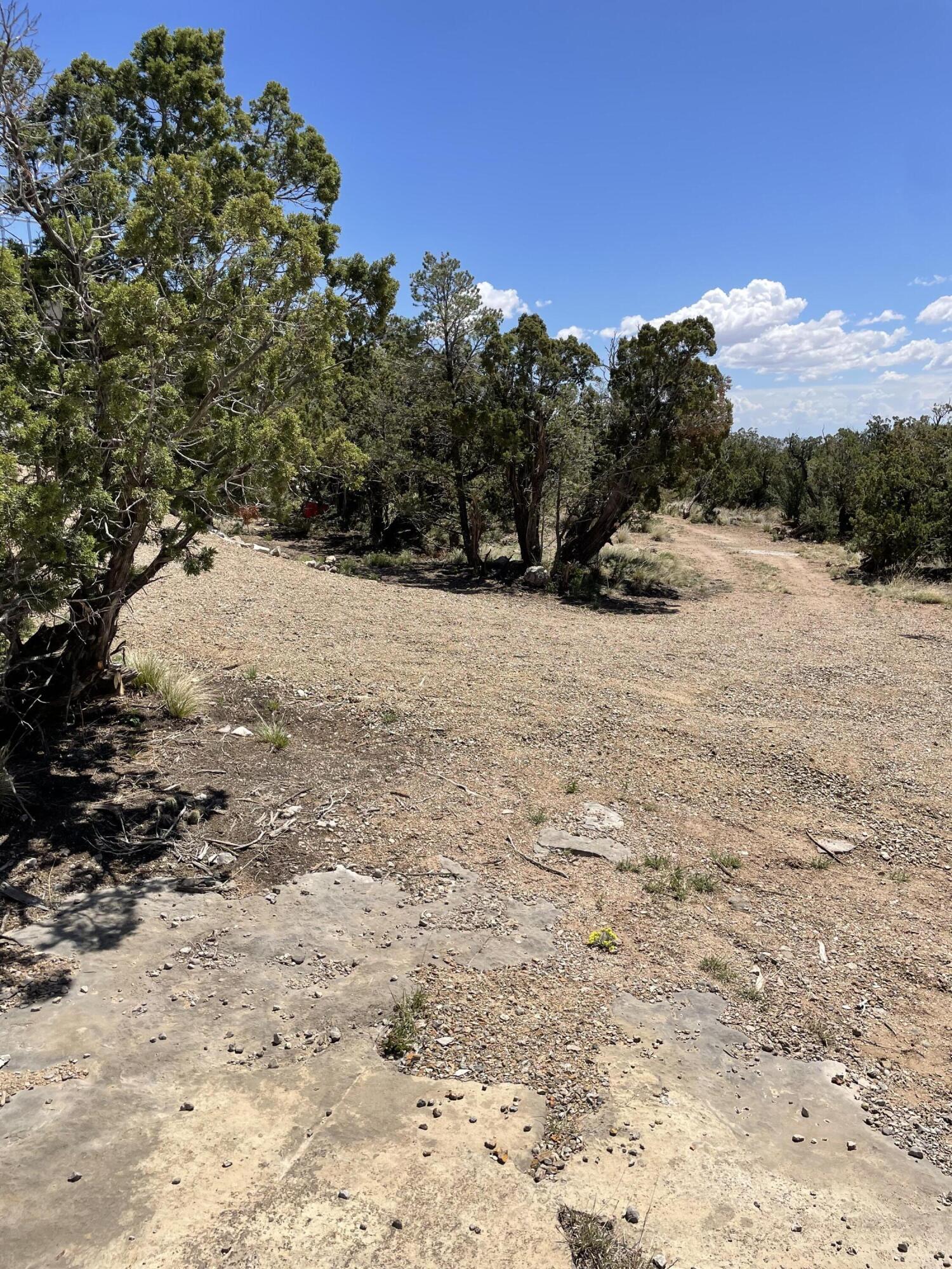 36 Morper Lane, Edgewood, New Mexico image 3