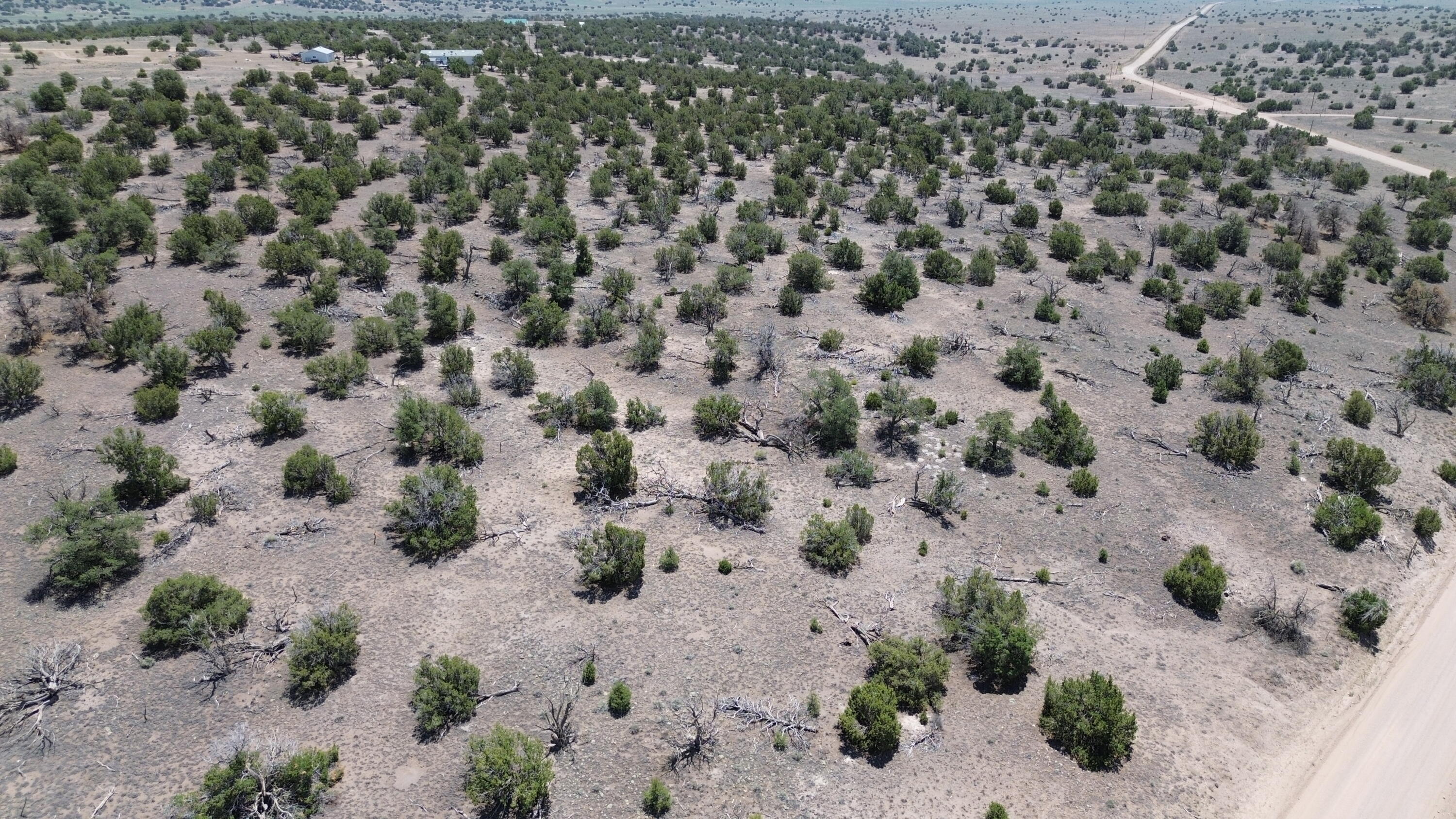 Photo 1 of 21 — OMEGA Road LOT 24, Quemado, NM 87829