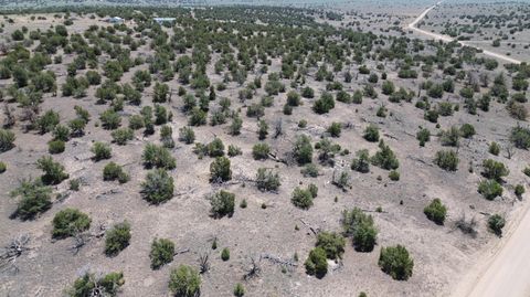 Vacant Land For Sale - Omega Road #LOT 24<br/> Catron County, Quemado, NM 87829