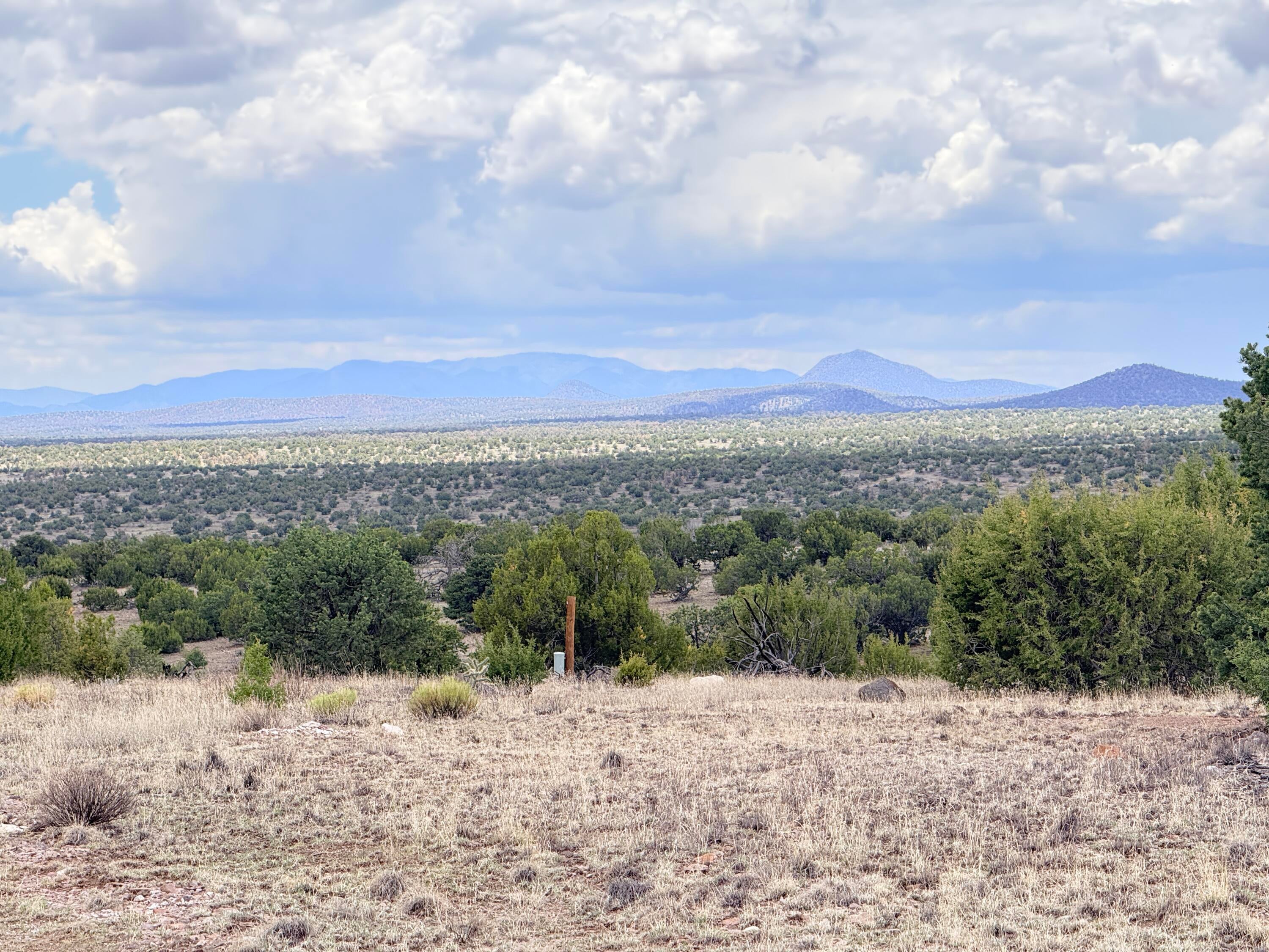 Lot 155 Pinon Springs