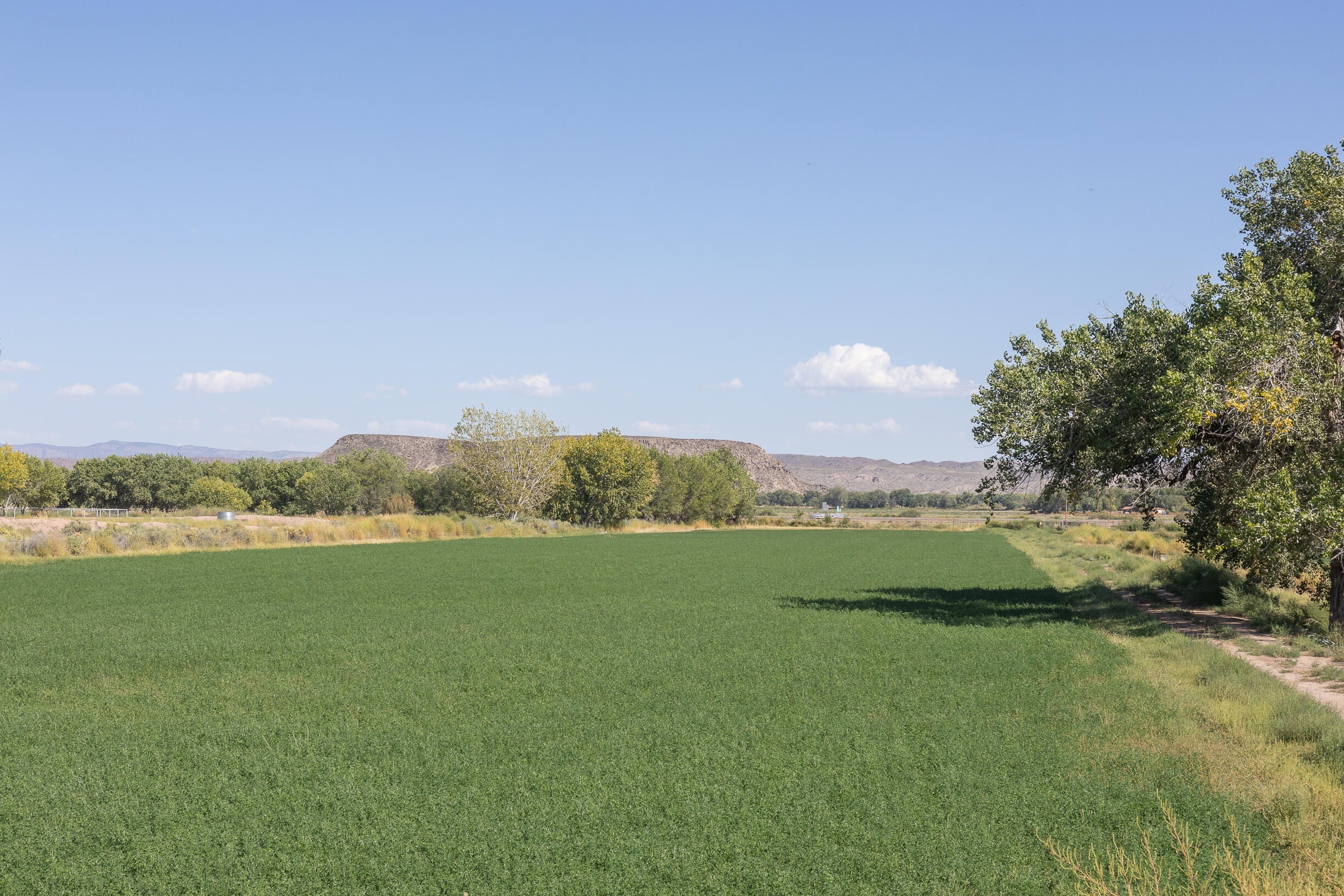 17 San Acacia Road, San Acacia, New Mexico image 37