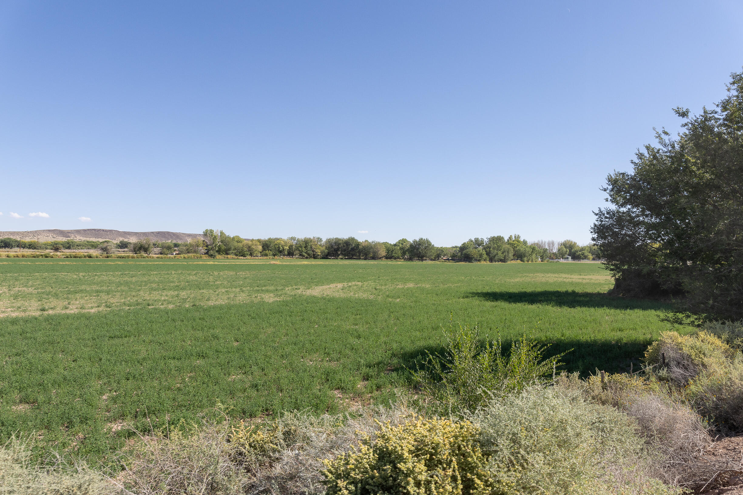 17 San Acacia Road, San Acacia, New Mexico image 34