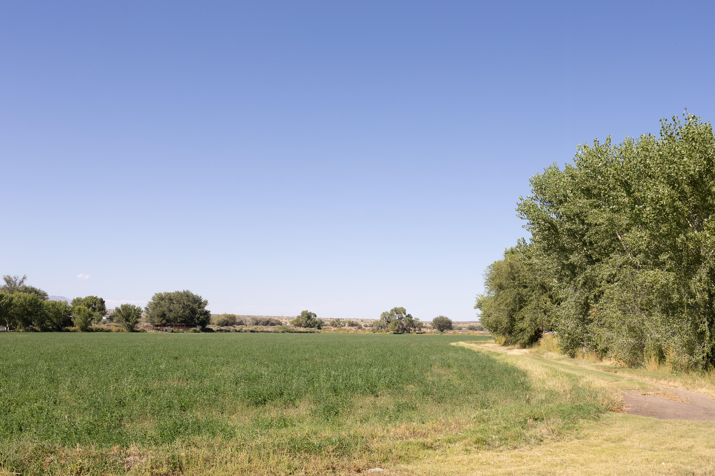 17 San Acacia Road, San Acacia, New Mexico image 10