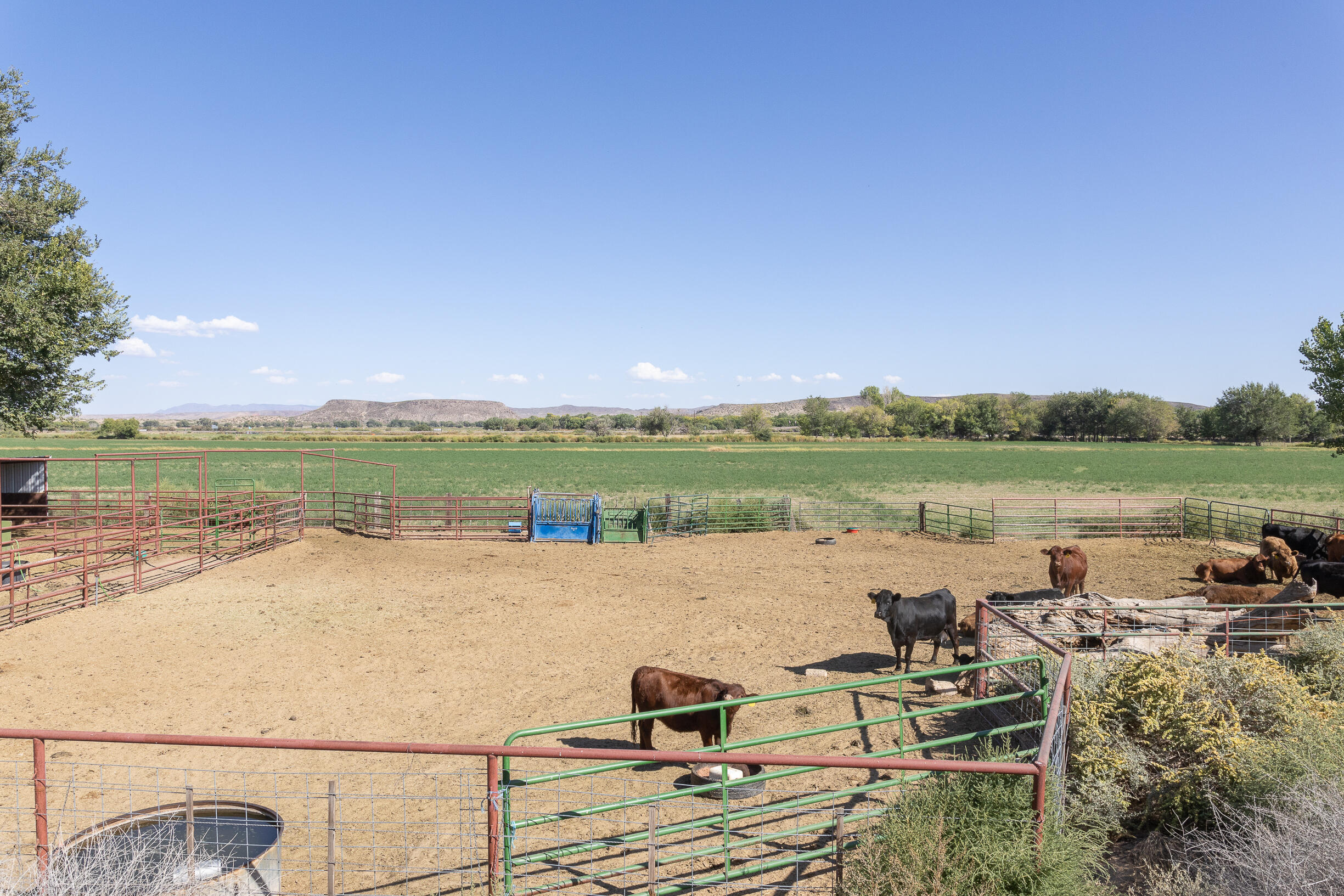 17 San Acacia Road, San Acacia, New Mexico image 32