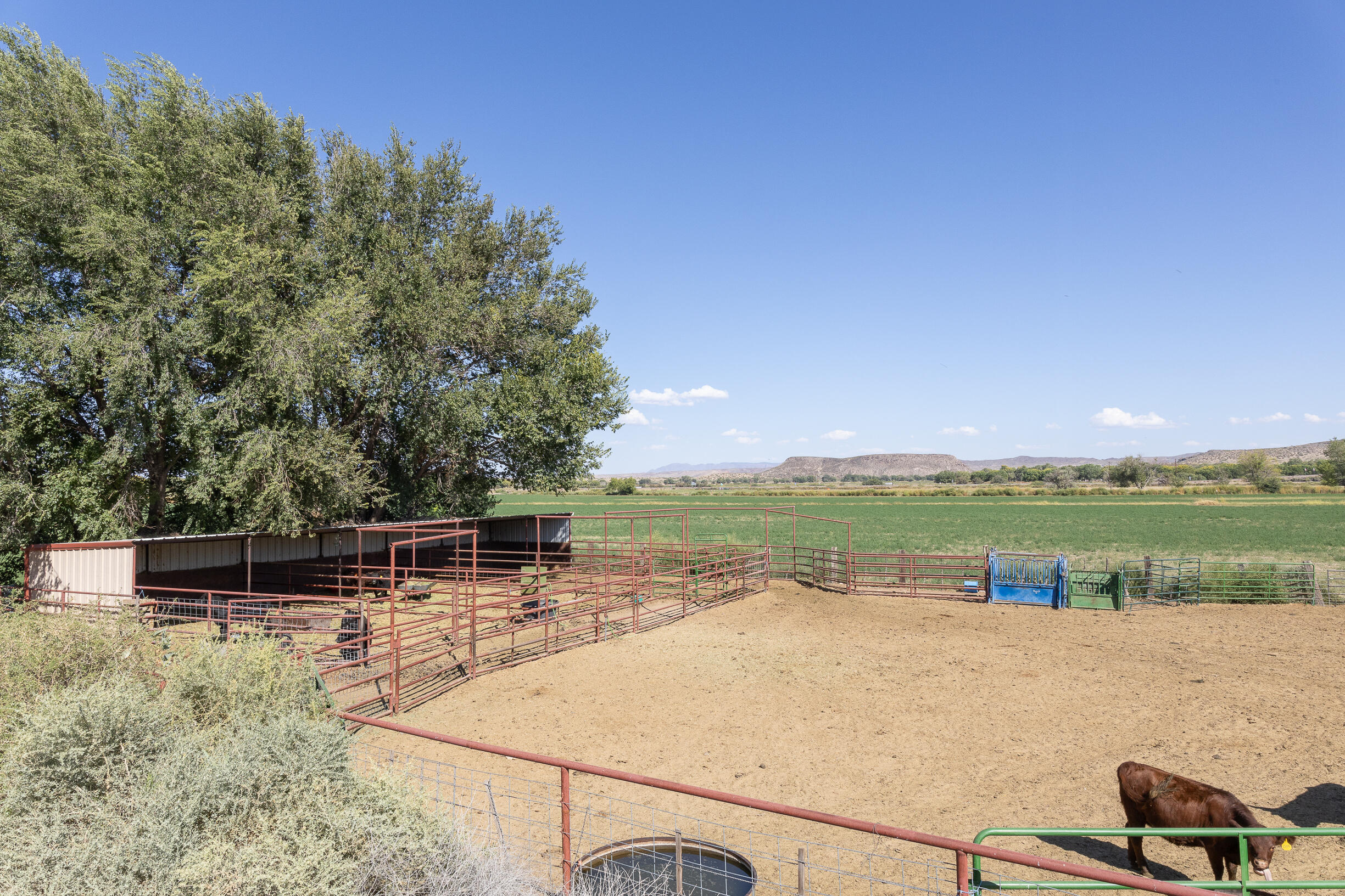 17 San Acacia Road, San Acacia, New Mexico image 33