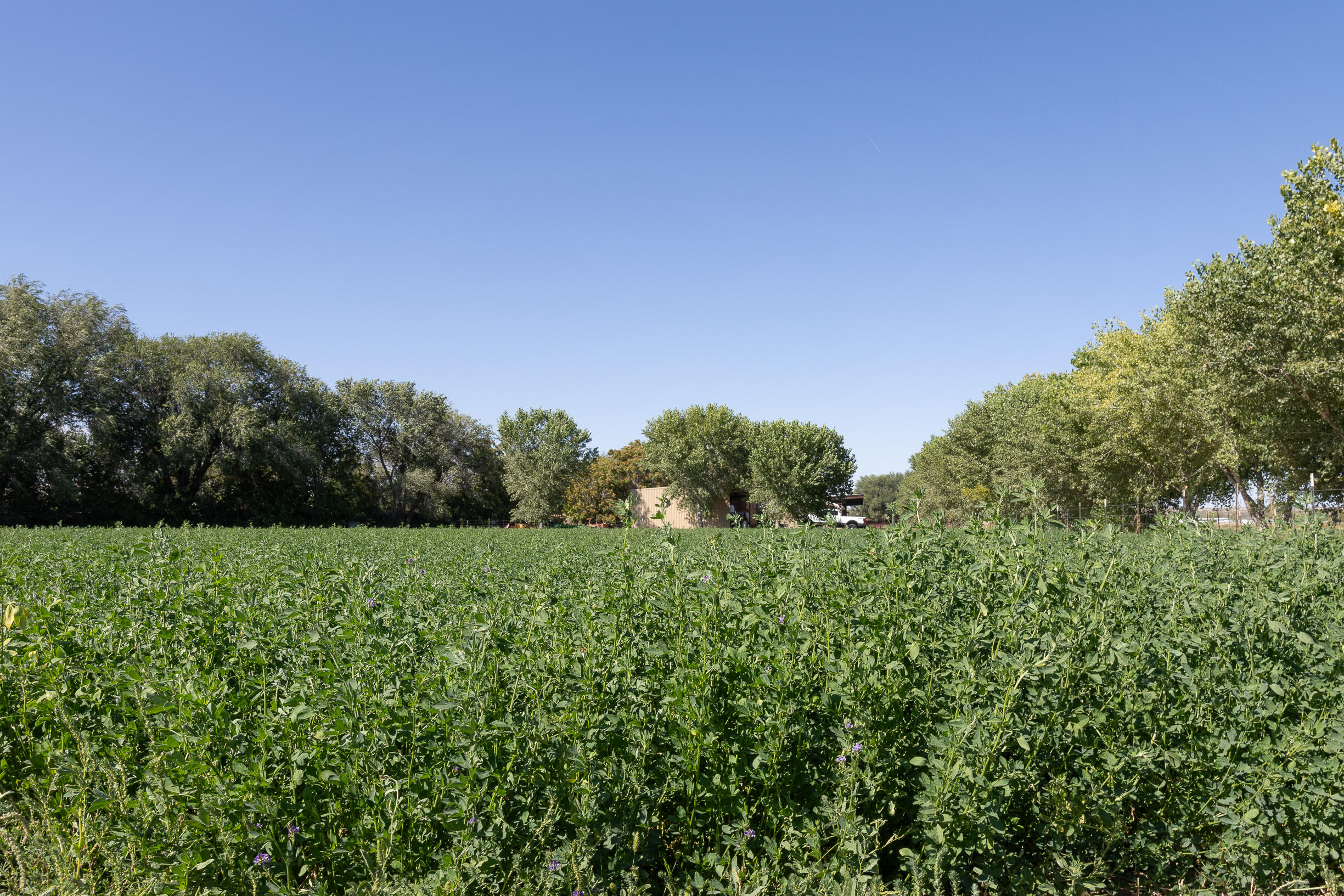 17 San Acacia Road, San Acacia, New Mexico image 13