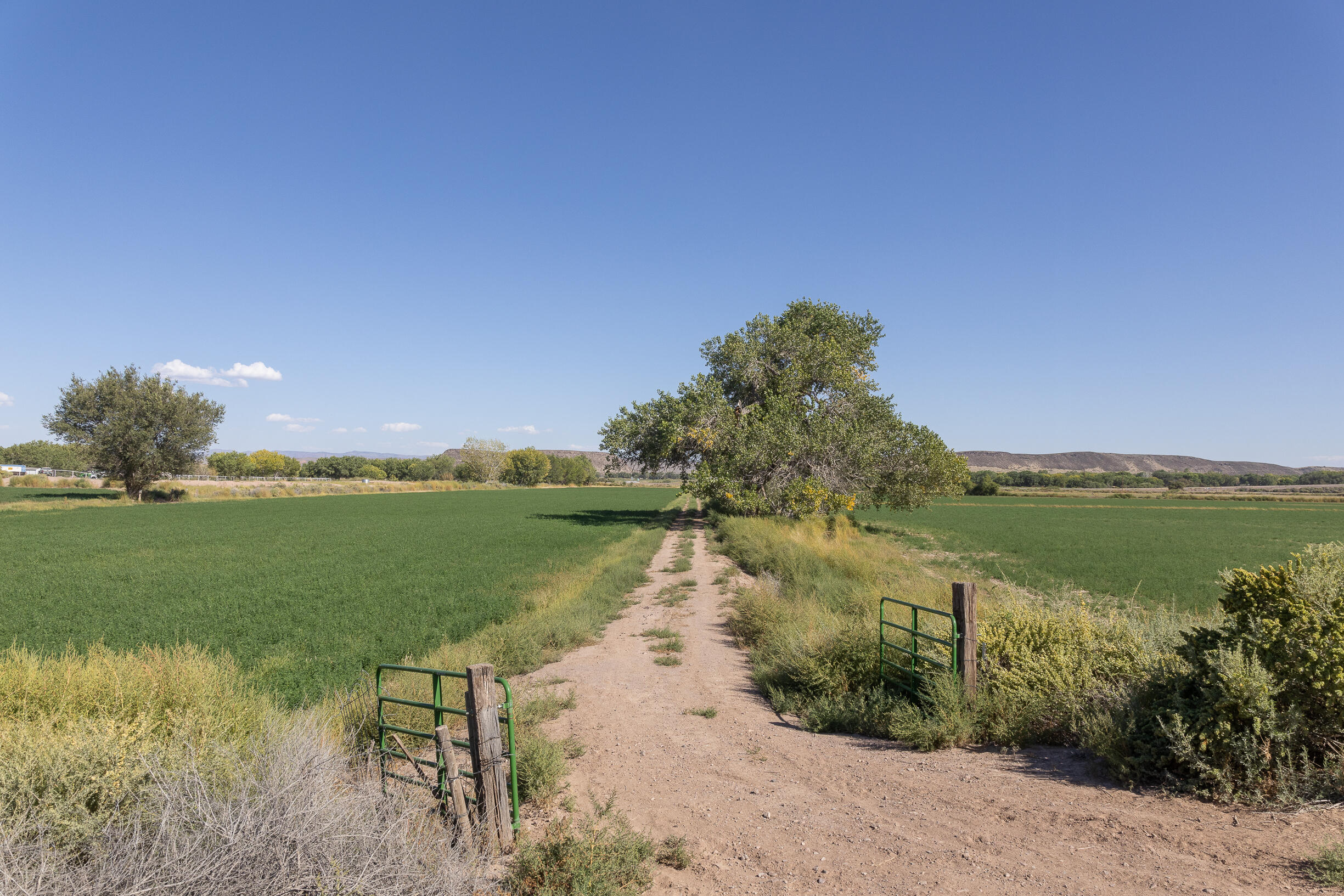 17 San Acacia Road, San Acacia, New Mexico image 36