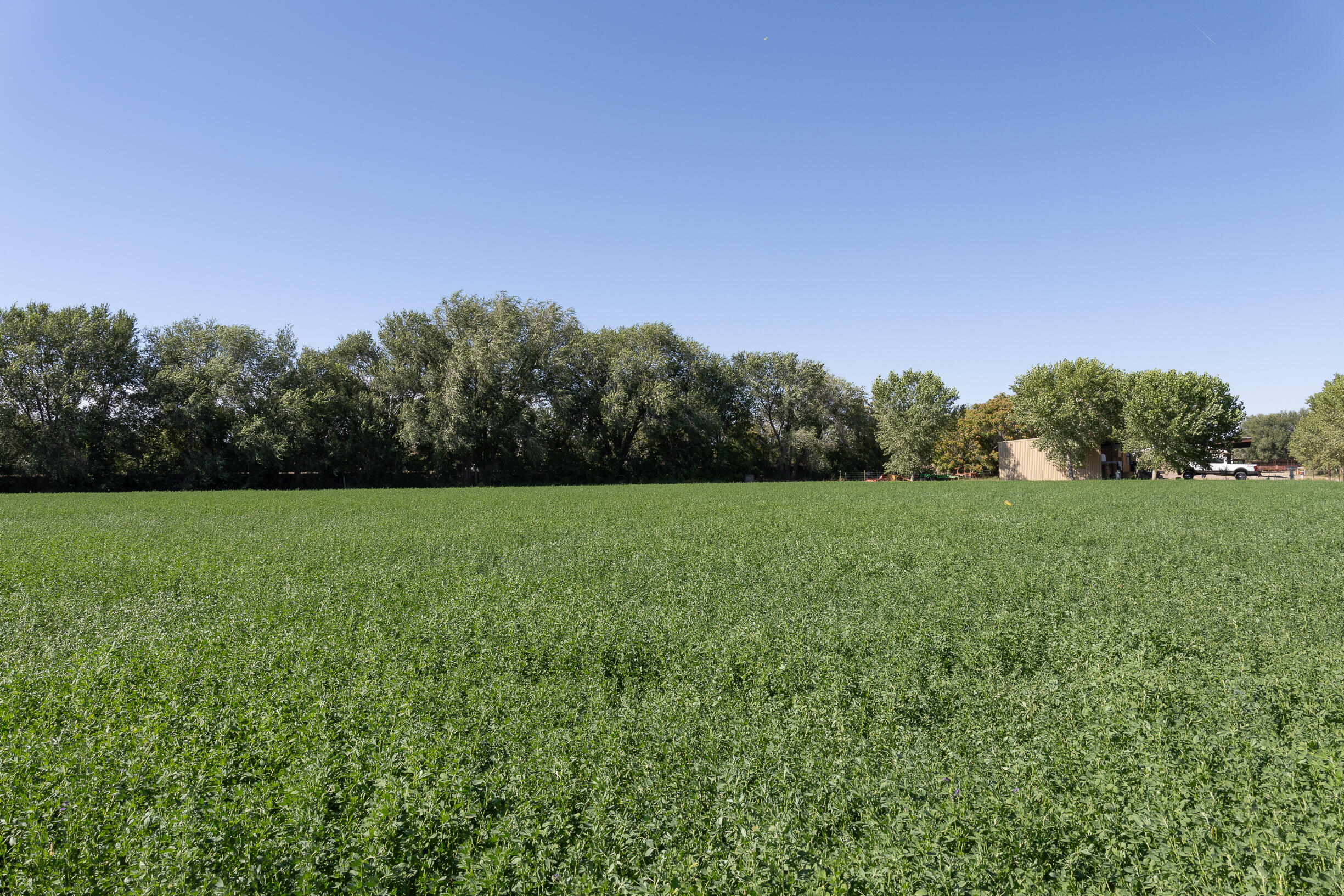 17 San Acacia Road, San Acacia, New Mexico image 11