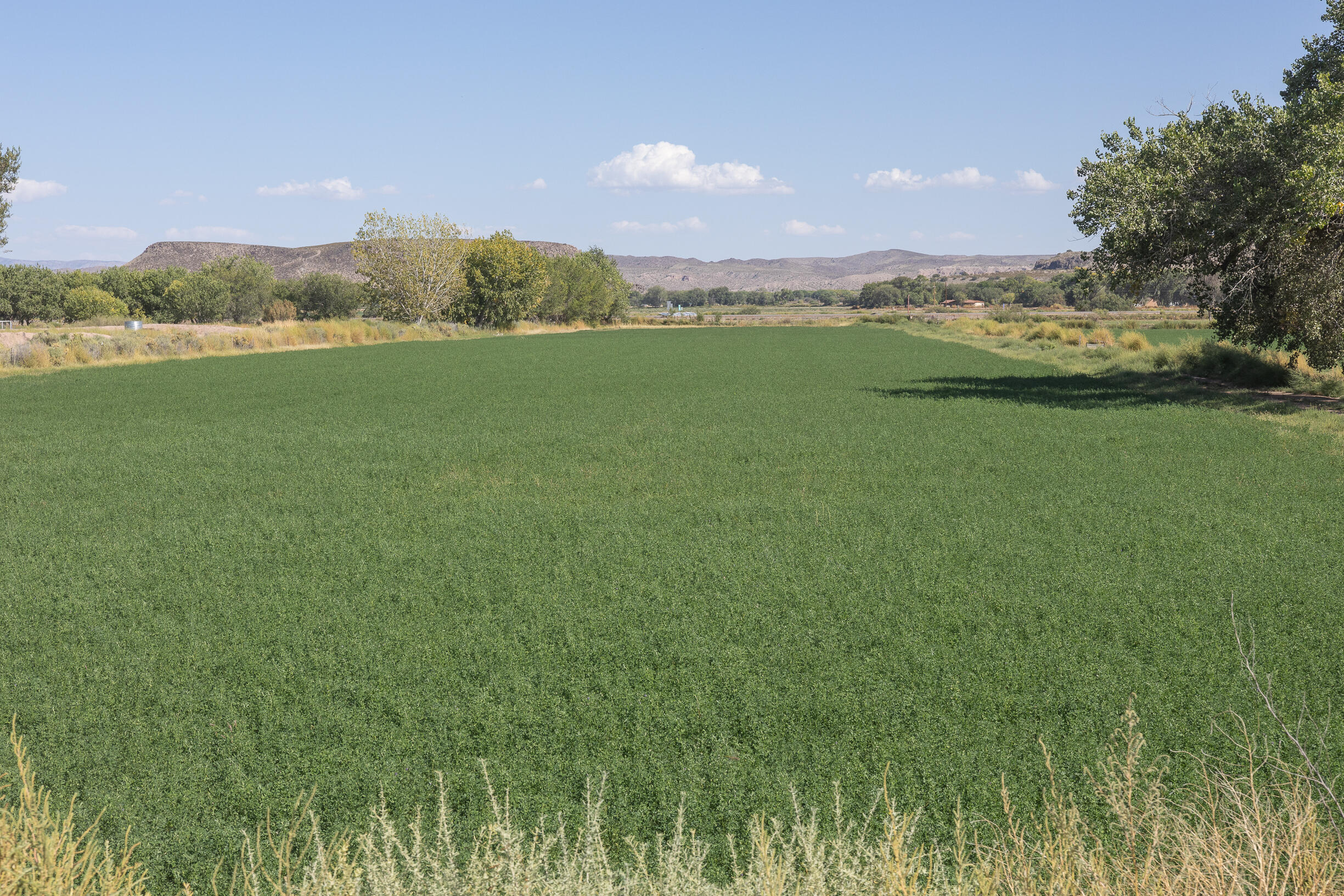 17 San Acacia Road, San Acacia, New Mexico image 38